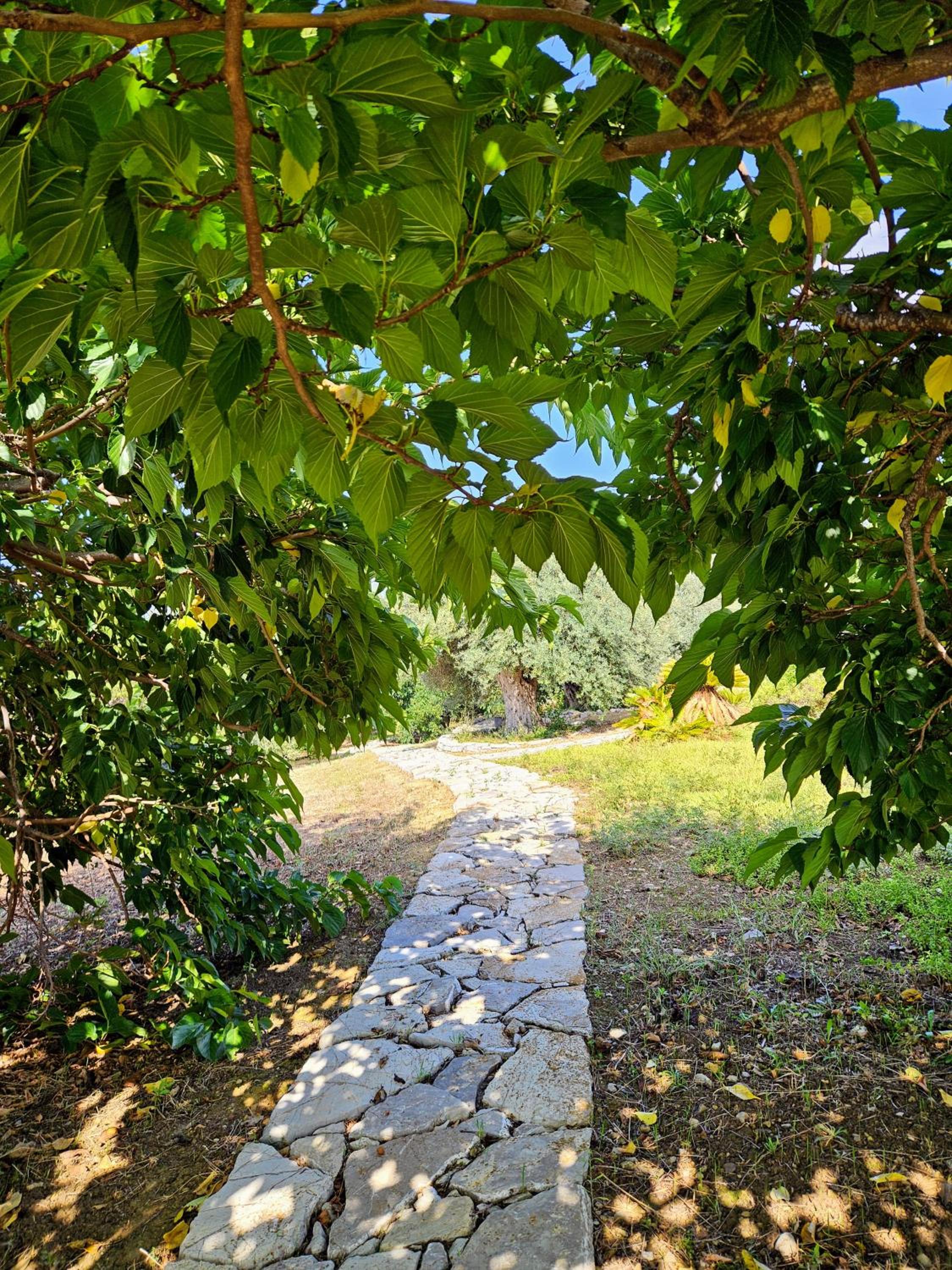 Photo 47