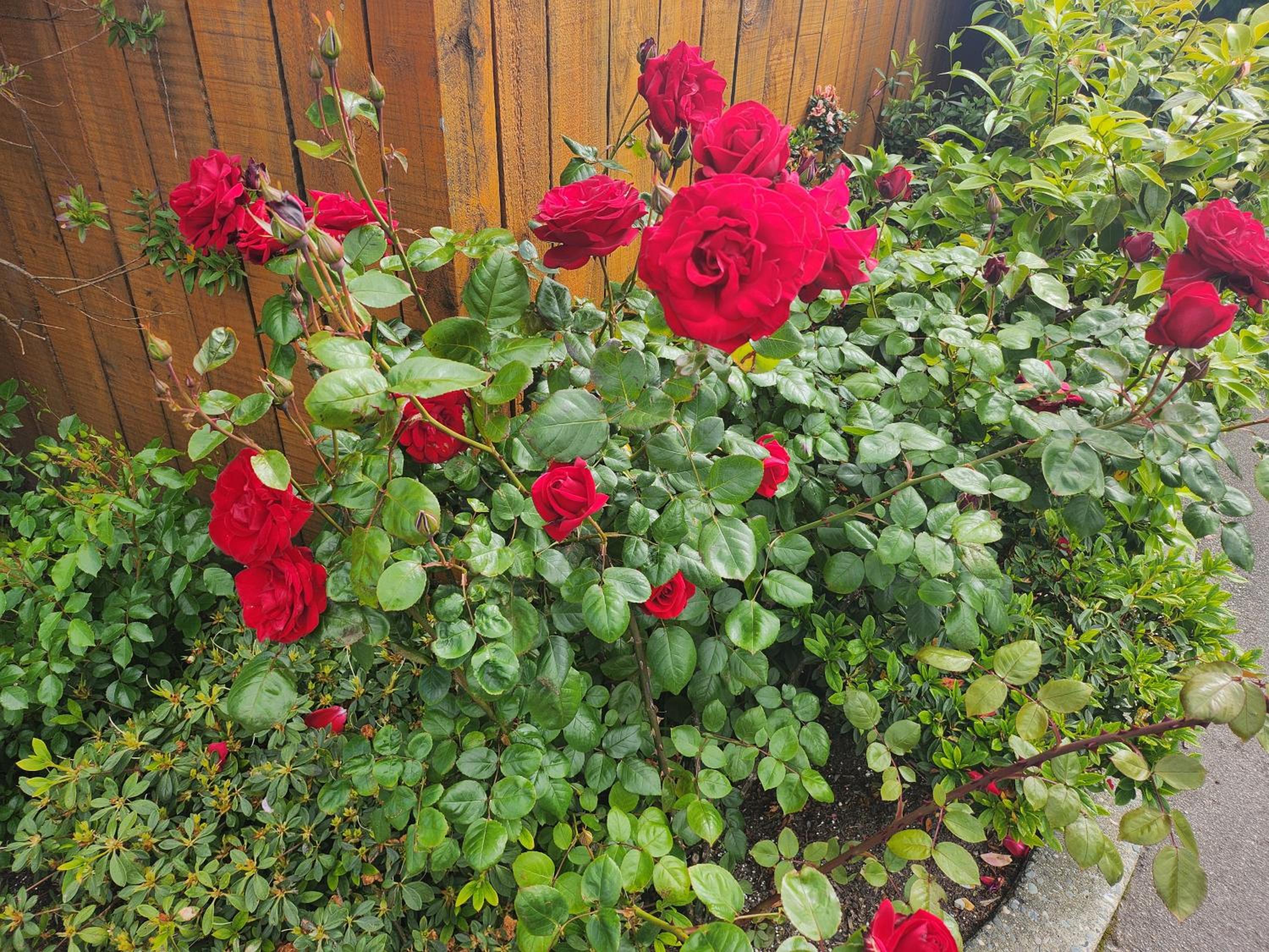 Photo 17