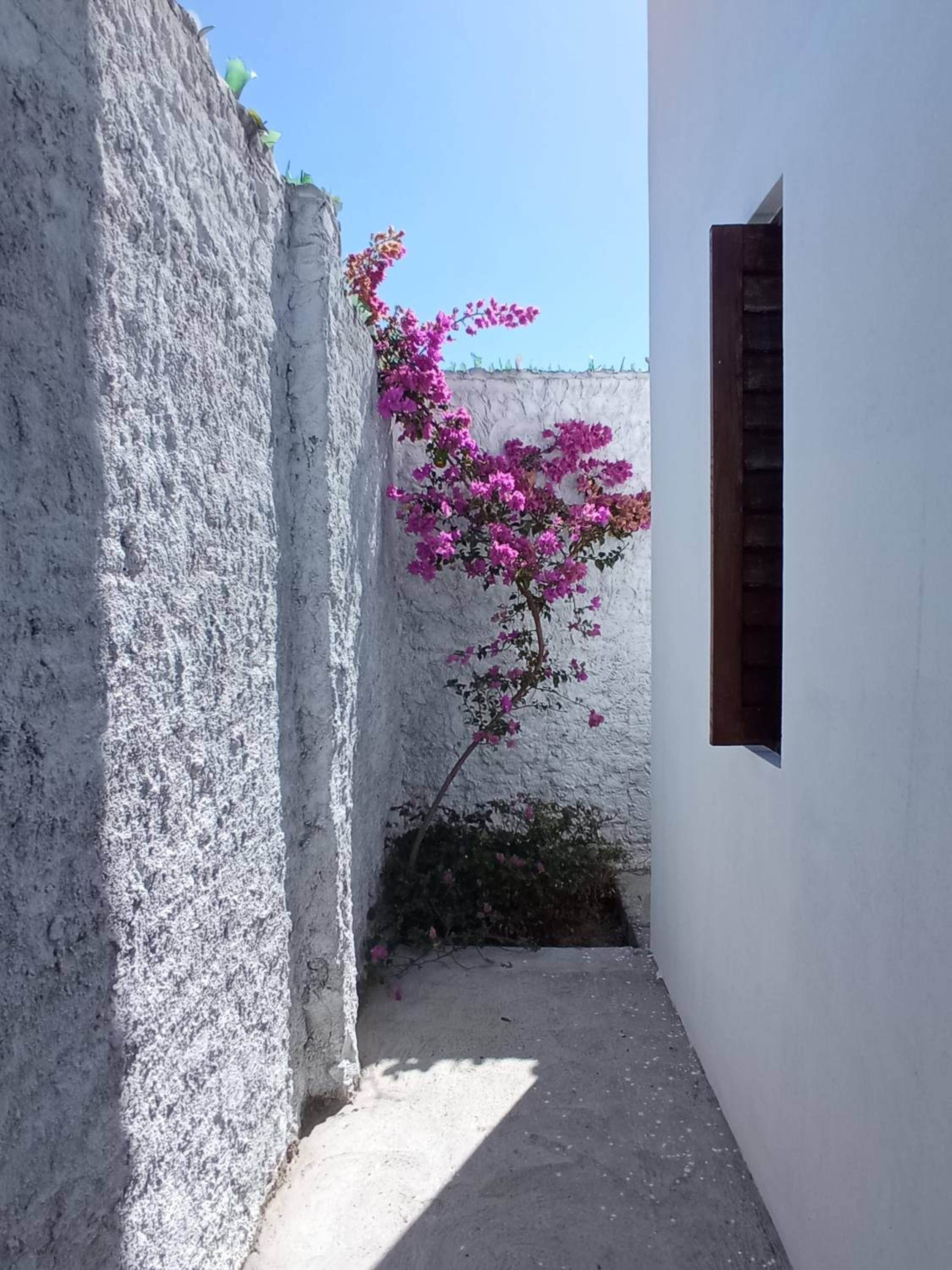 Casa INTI de Maracajaú