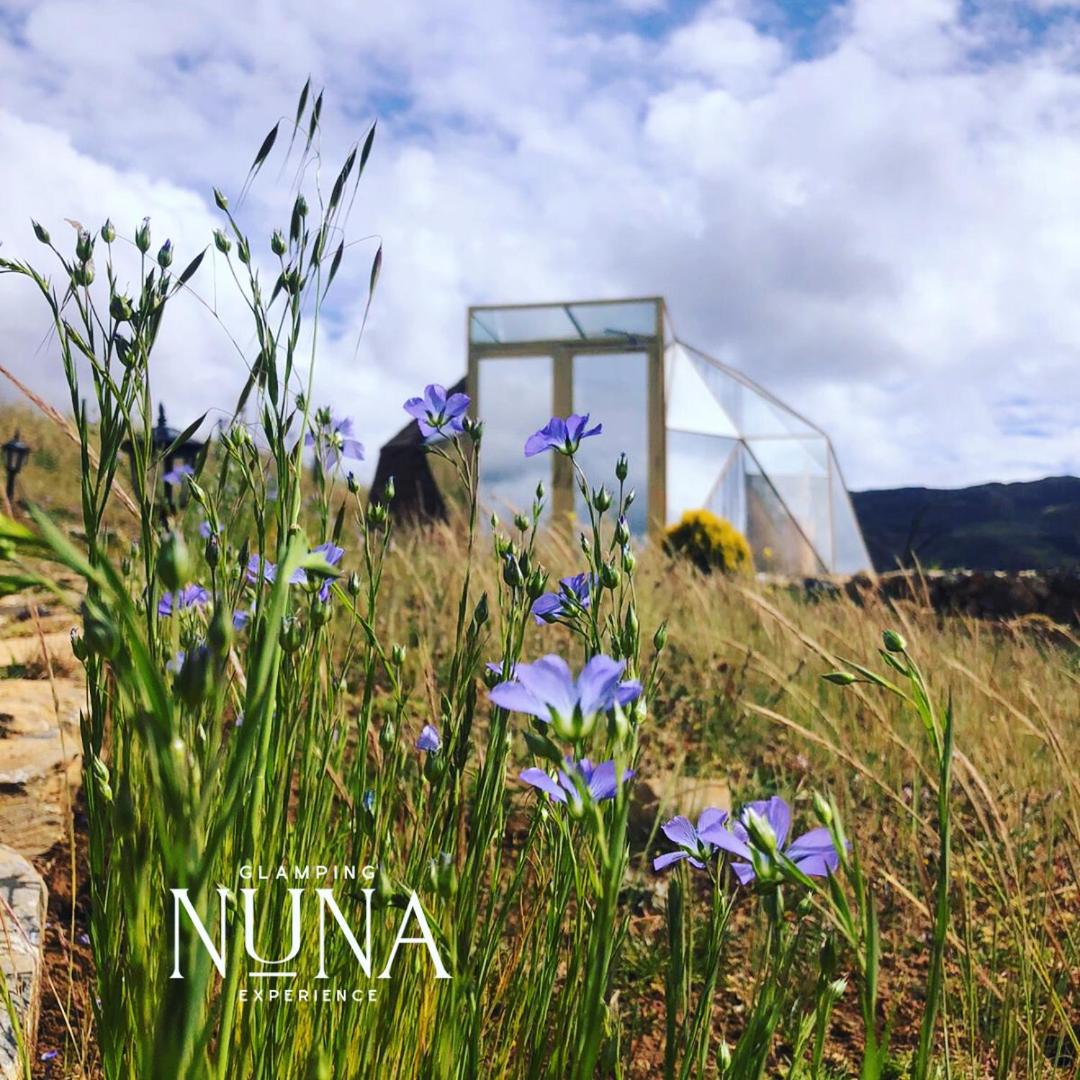 Glamping Nuna Experience