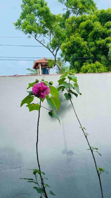 Catherine Villa in Ja Ela near Colombo Airport Expressway Exit view 2