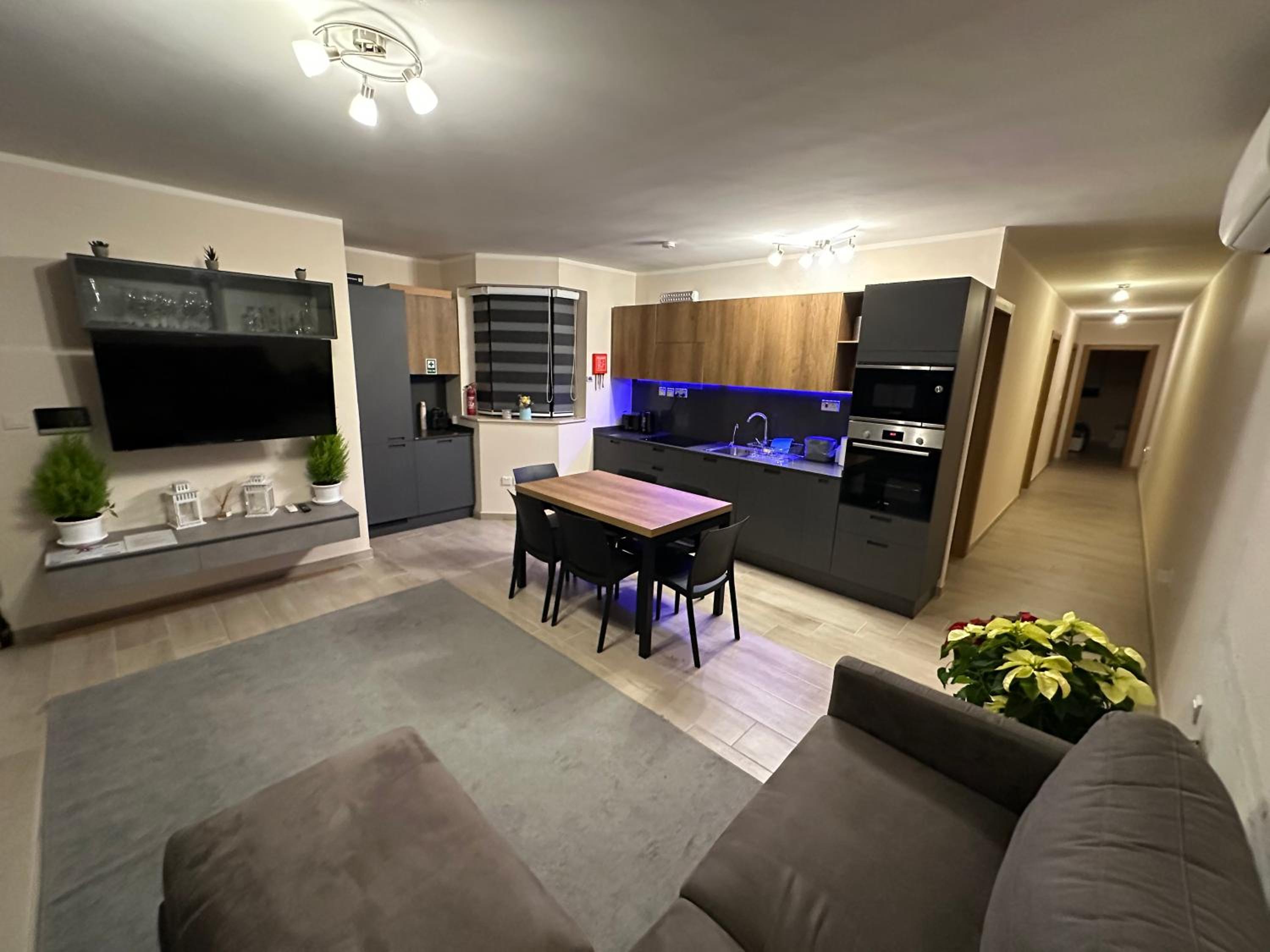 A Brand New Stunning Penthouse with BBQ area view 2