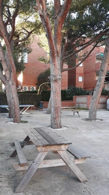 Apartamento acogedor