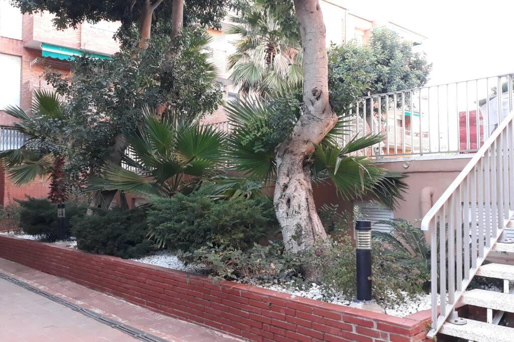 Apartamento acogedor