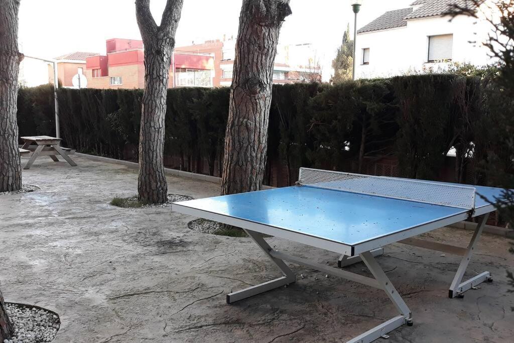 Apartamento acogedor