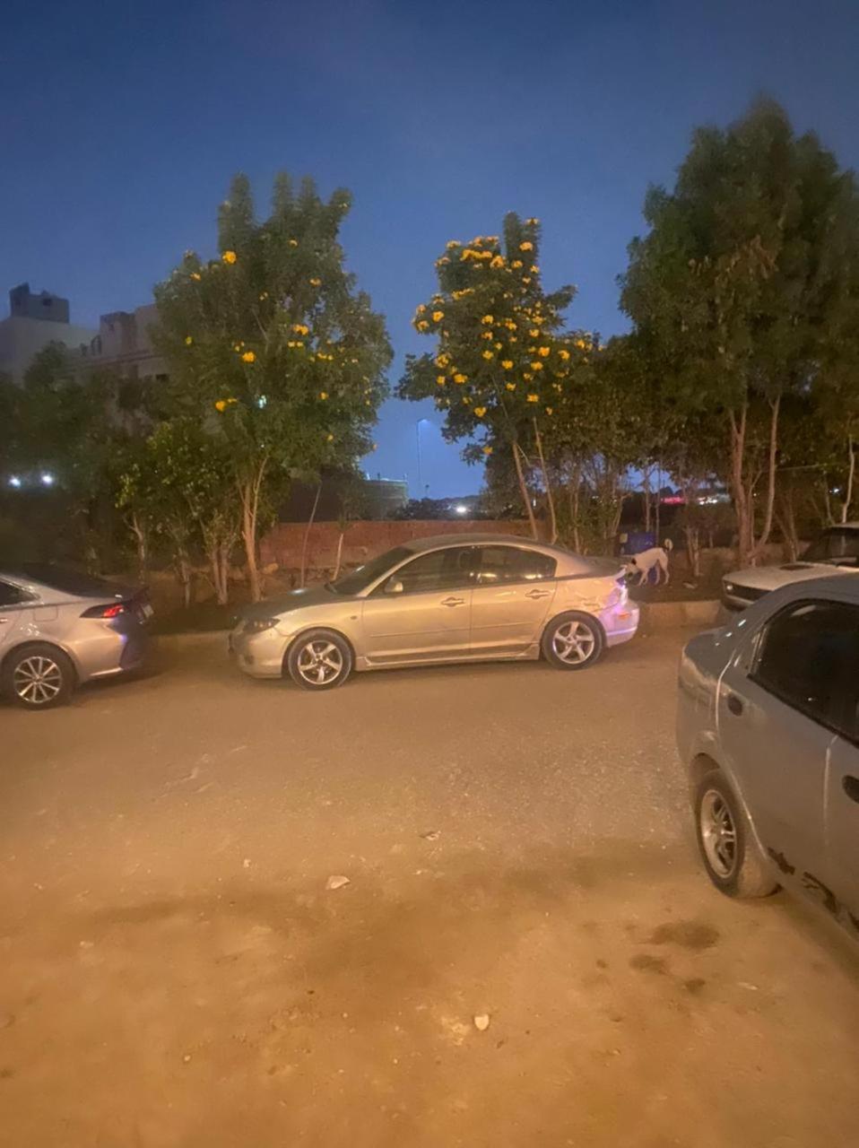 parking