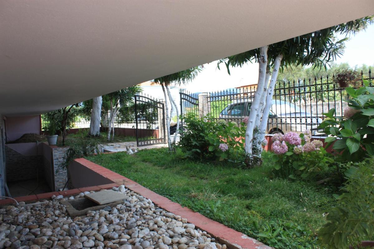 Photo 6