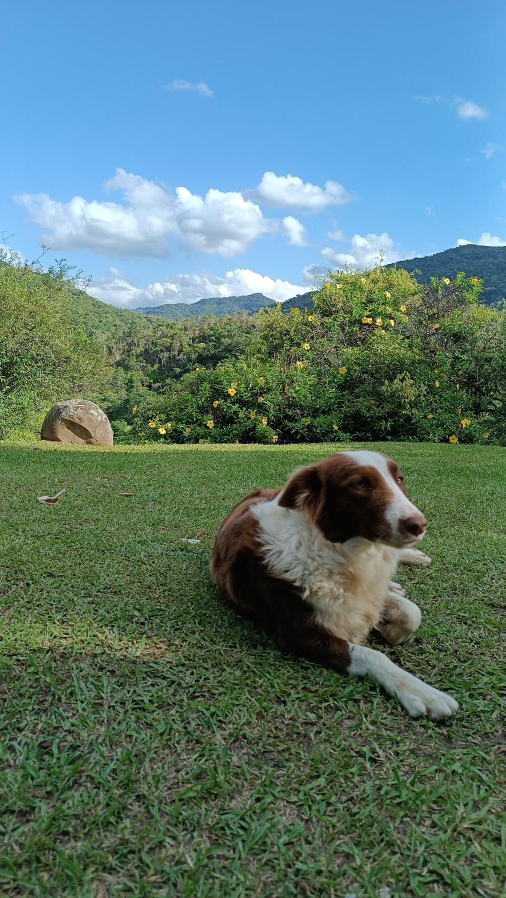 Casa de Campo - Colina do Encanto