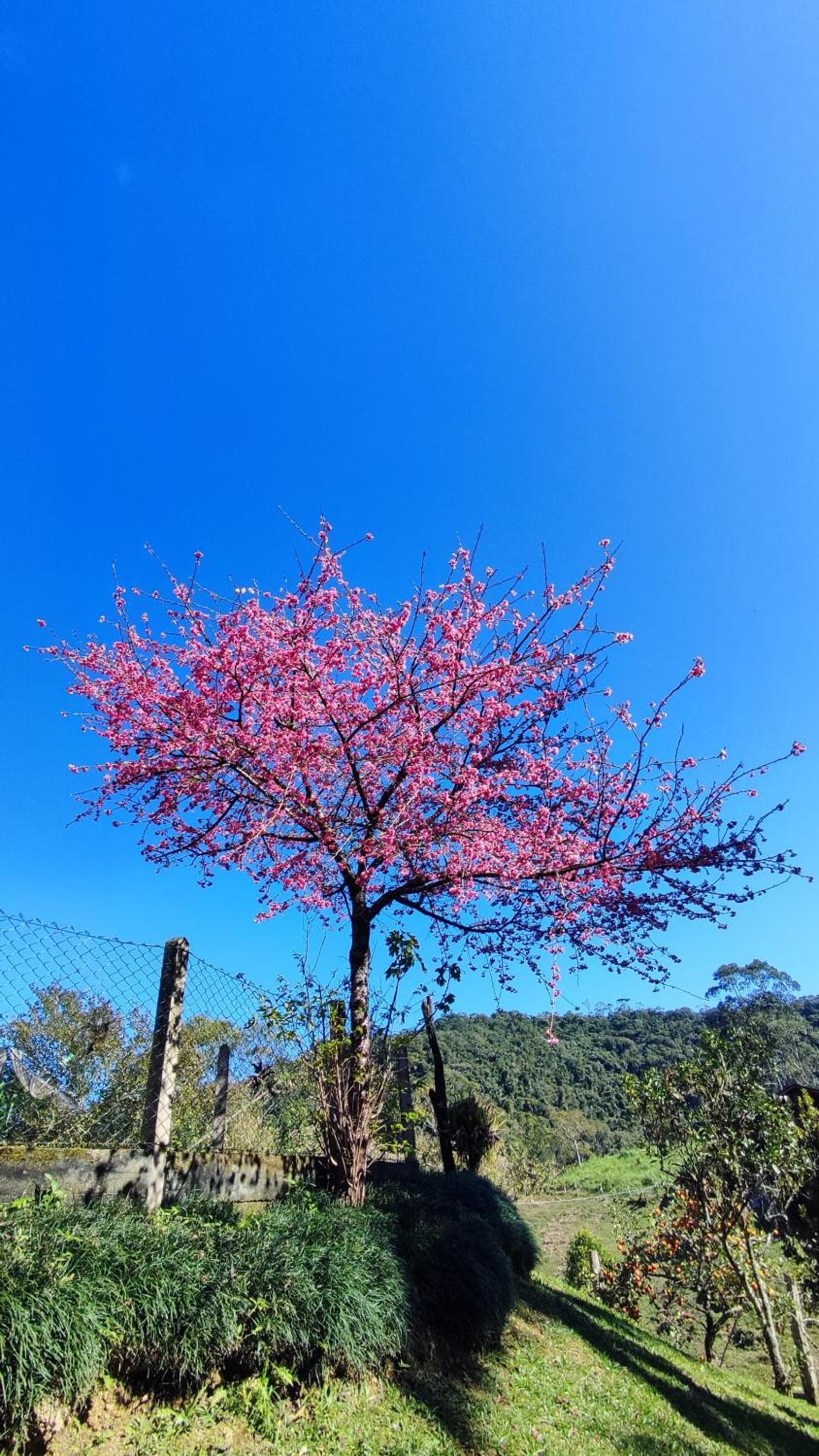 Casa de Campo - Colina do Encanto