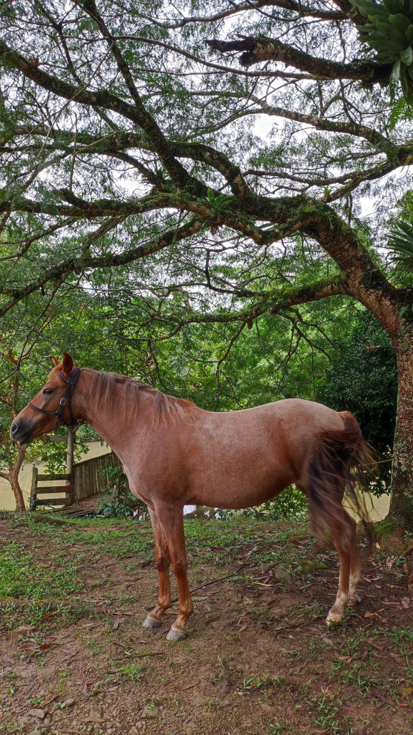 Casa de Campo - Colina do Encanto