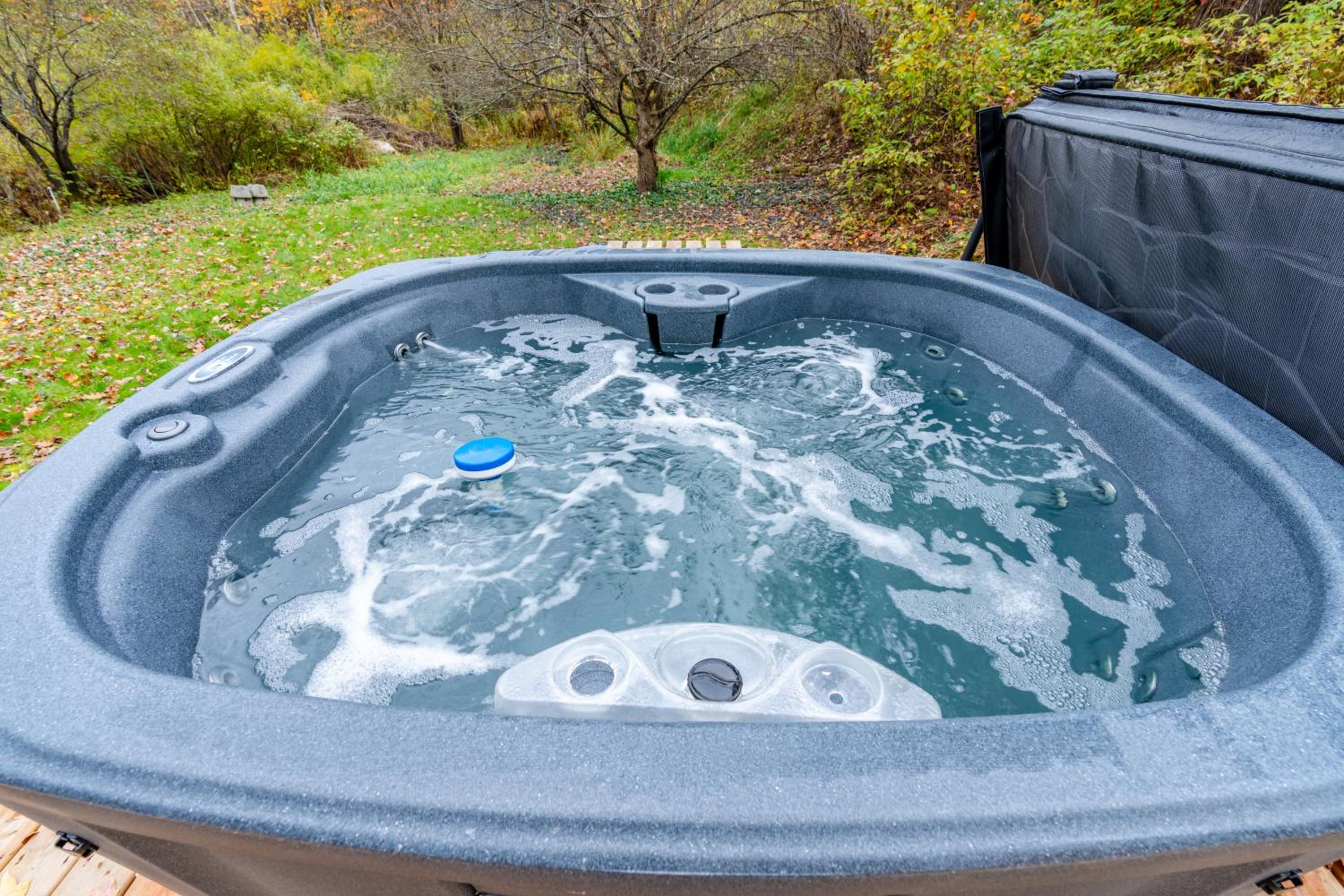 lacbrome Chalet lake+Terrasse+BBQ+Hot-tub