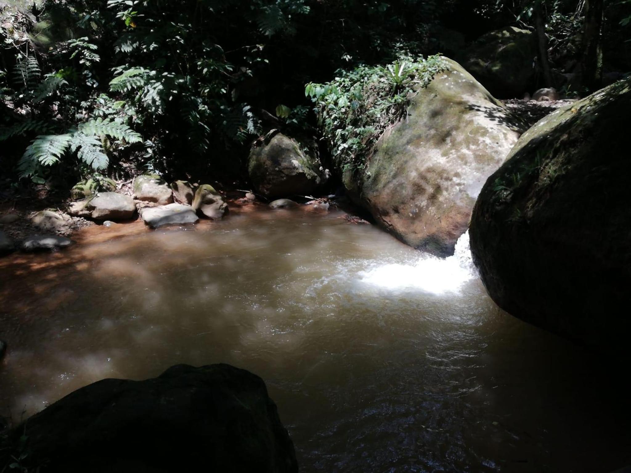 Montaña Verde