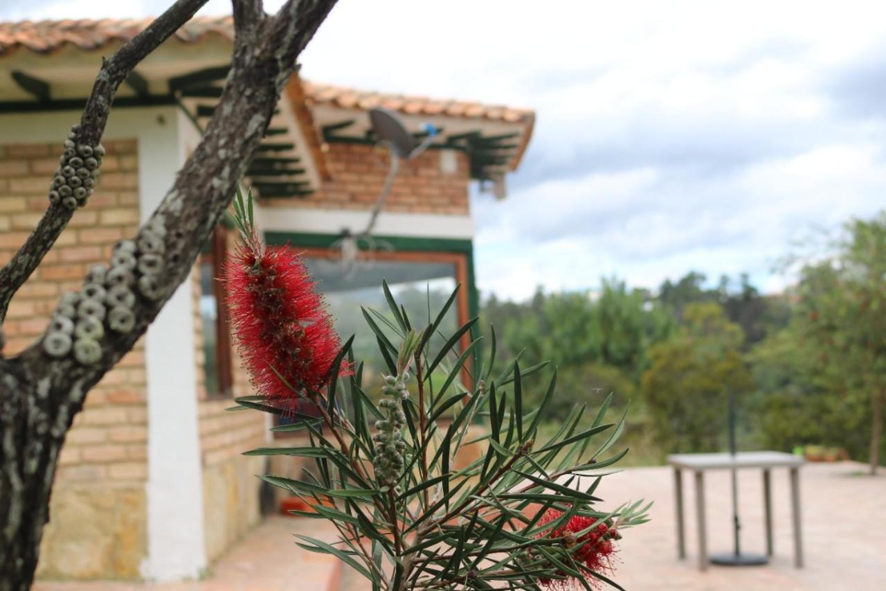 CABAÑA VILLA LUISA de LEYVA