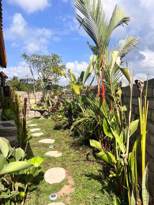 YR guest House view 5