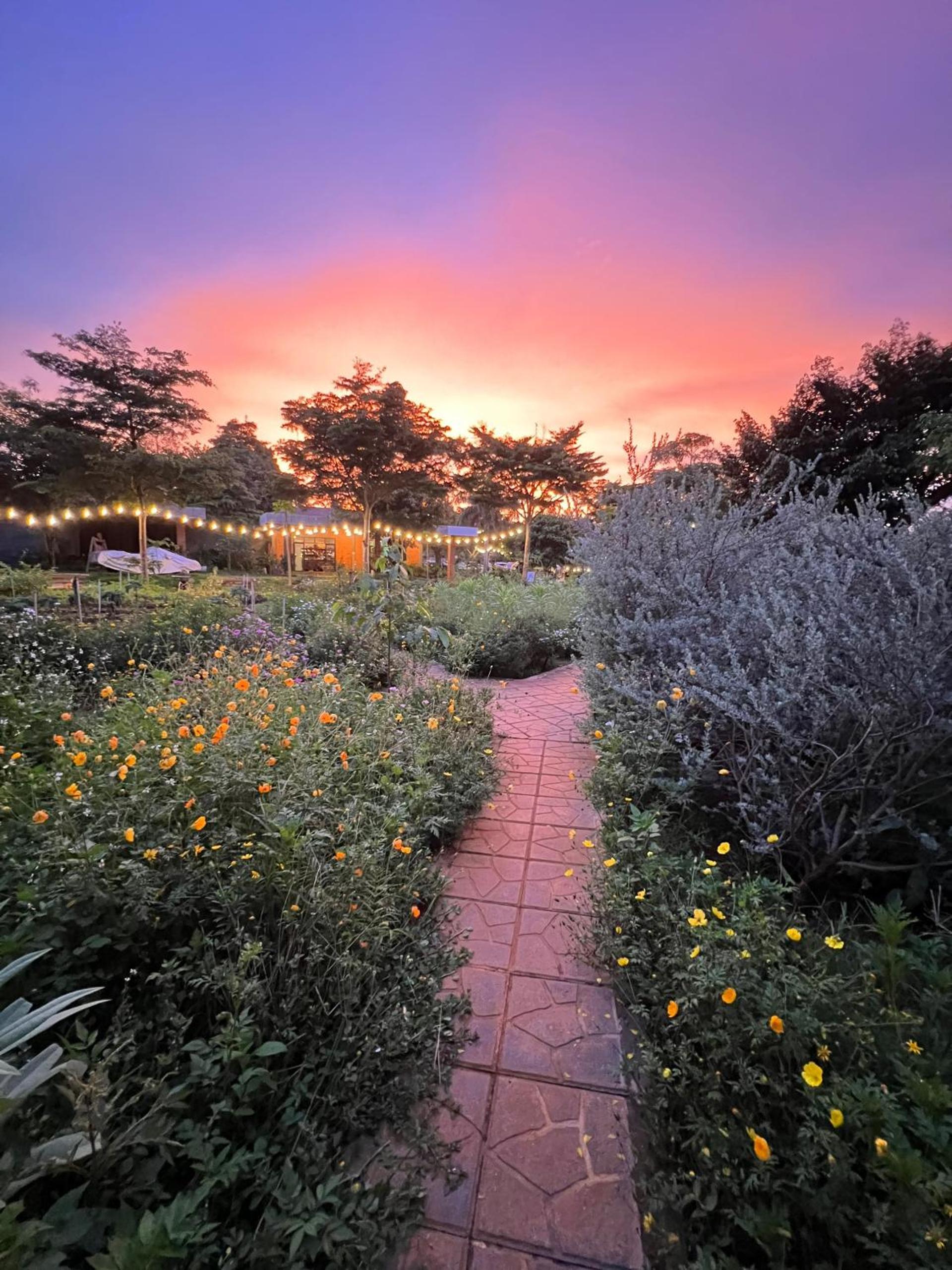 Paksong Farmstay Gia Lai - Venuestay view 5