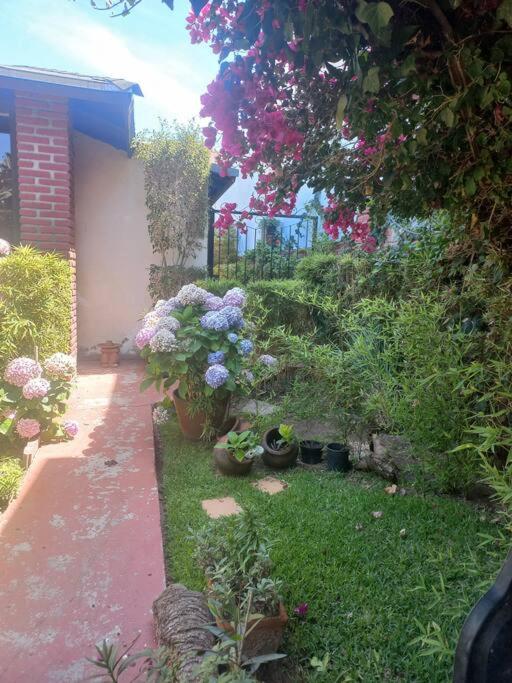 APARTAMENTO ZONA PRIVADA Y TRANQUILA CON ALBERCA view 3