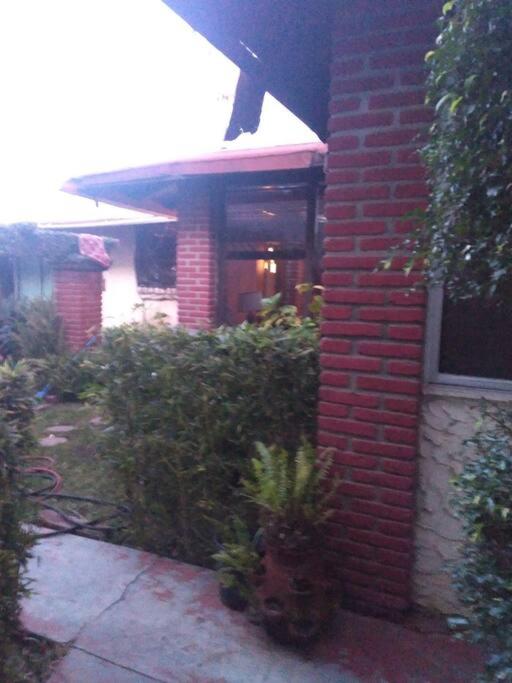 Photo 28