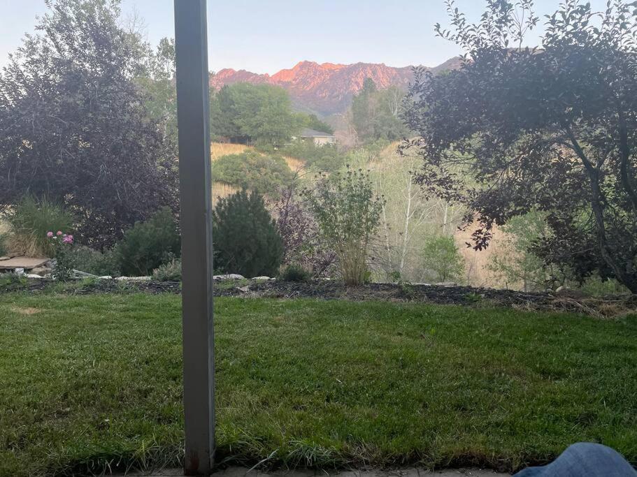 other