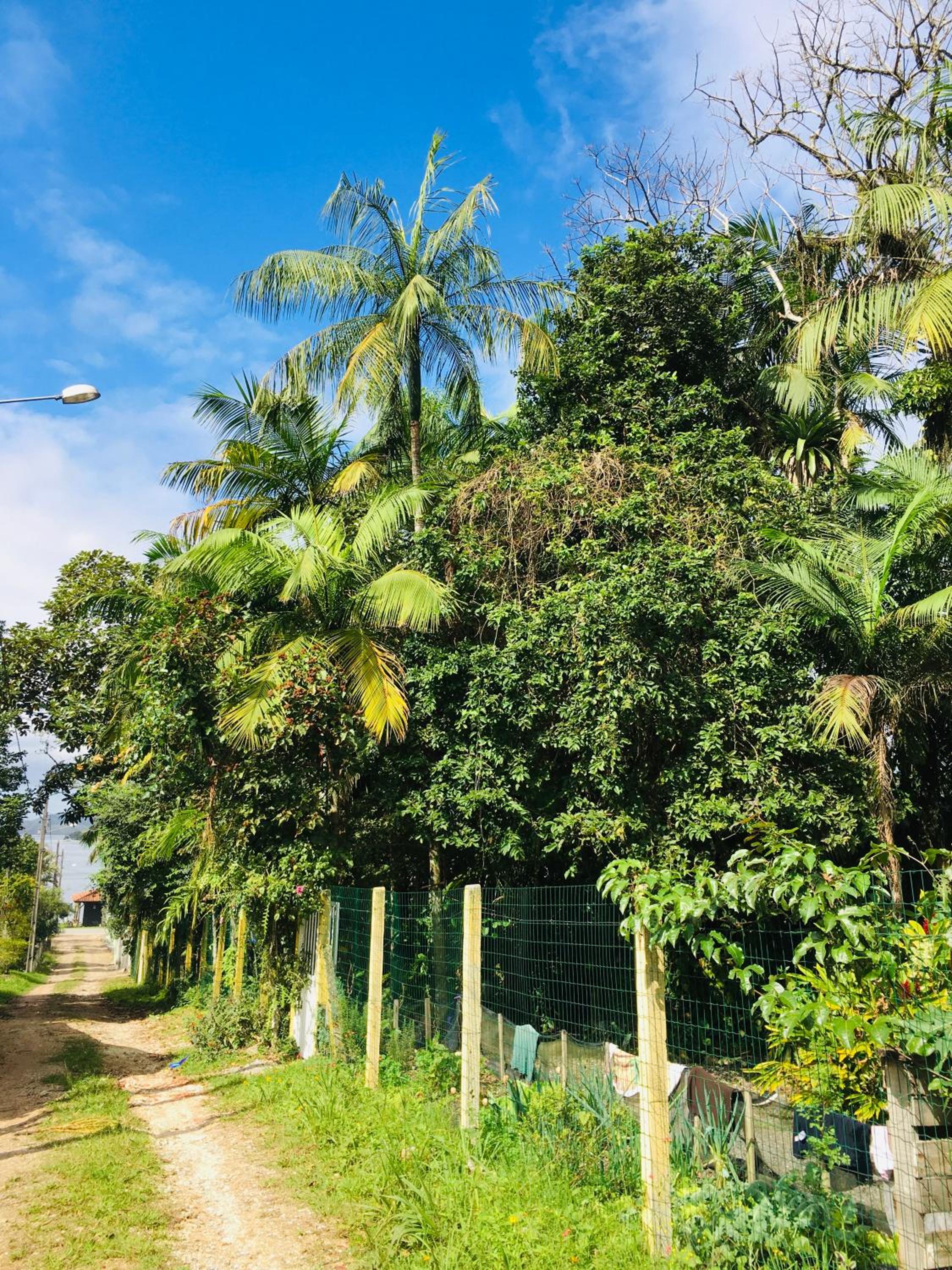 Rancho Caiçara