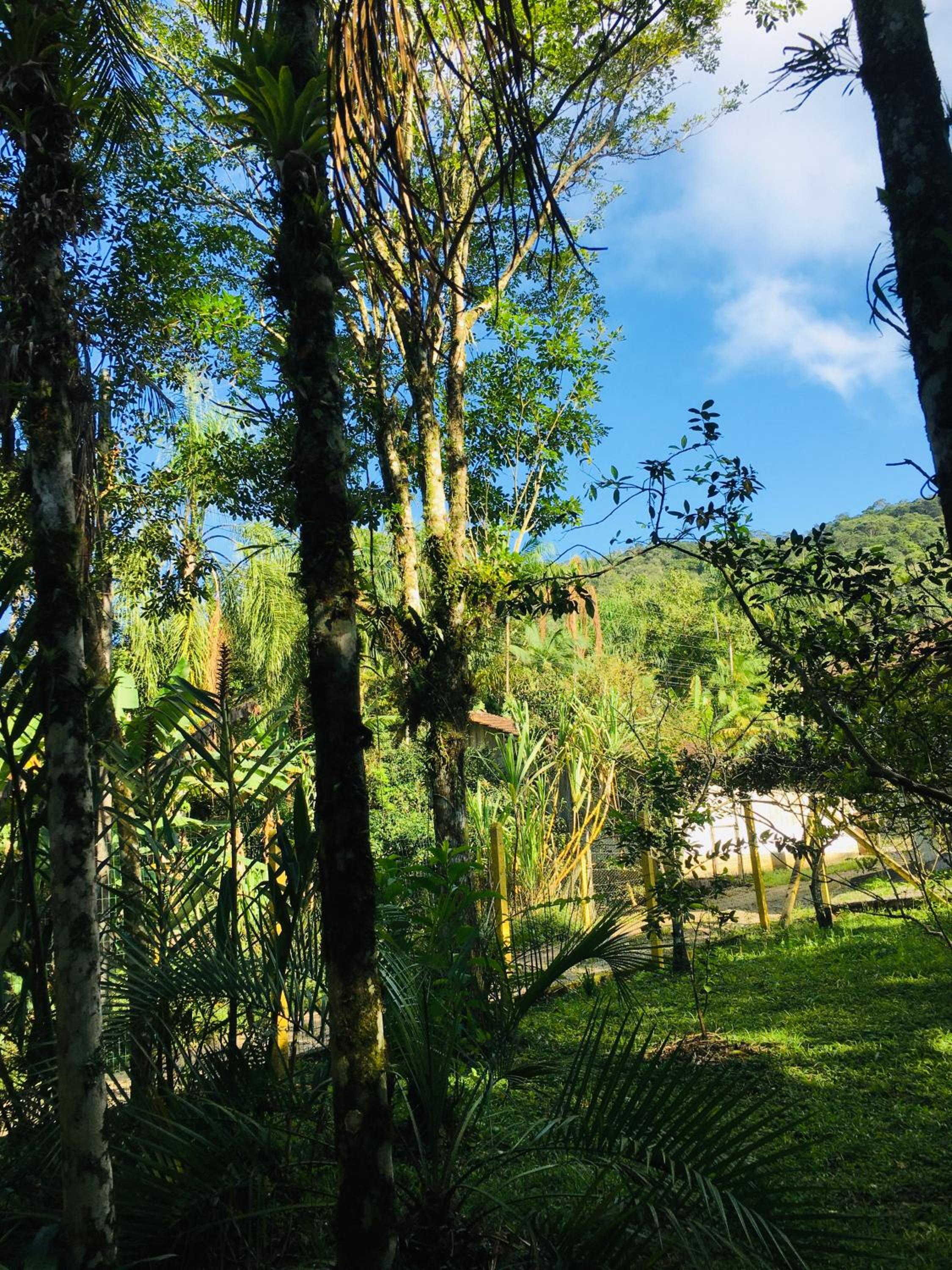 Rancho Caiçara