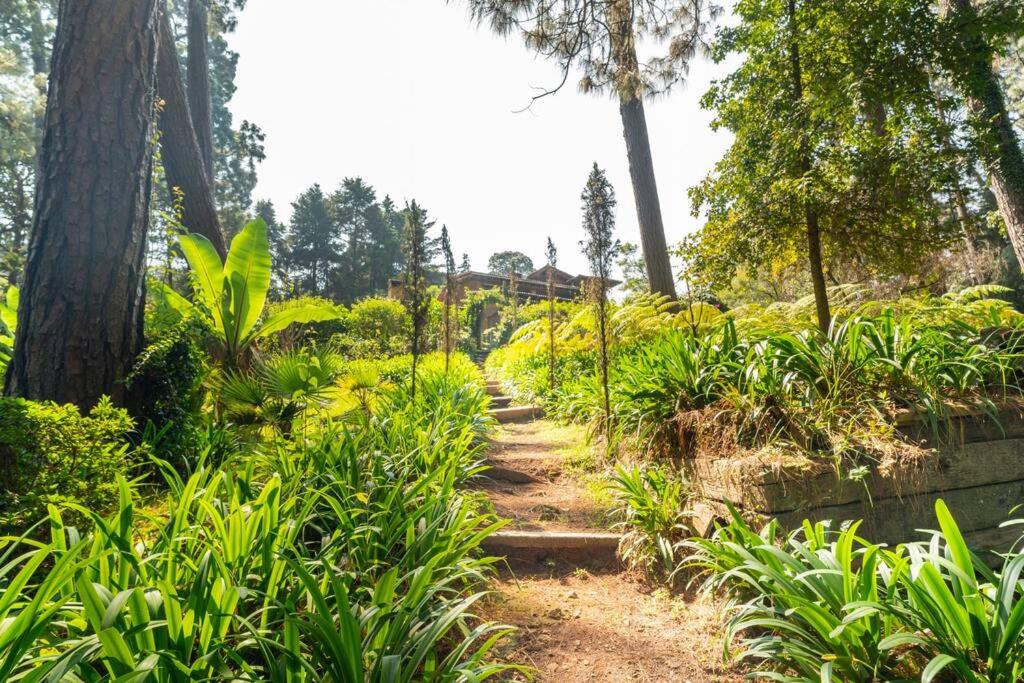Casa Avándaro con alberca, Río, Bosque y Cocinera!