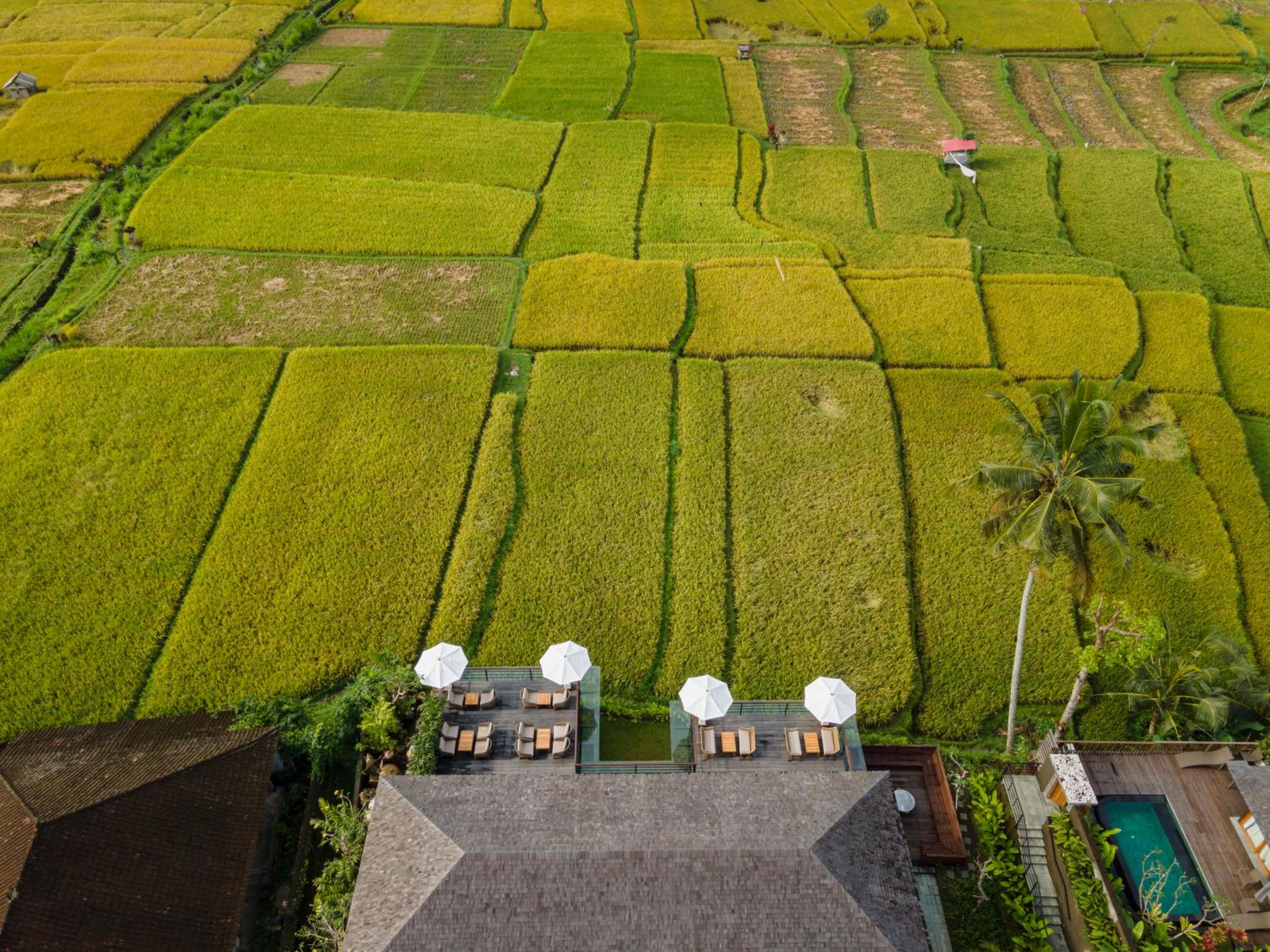 Kappa Senses Ubud - Image 3