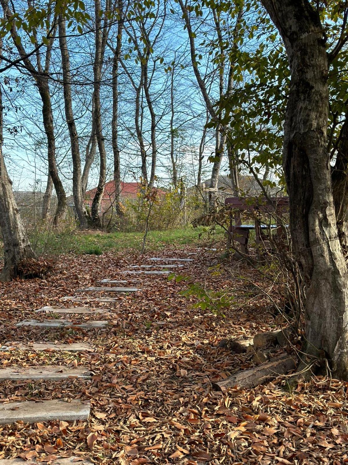 CHALET WOODS GUSAR