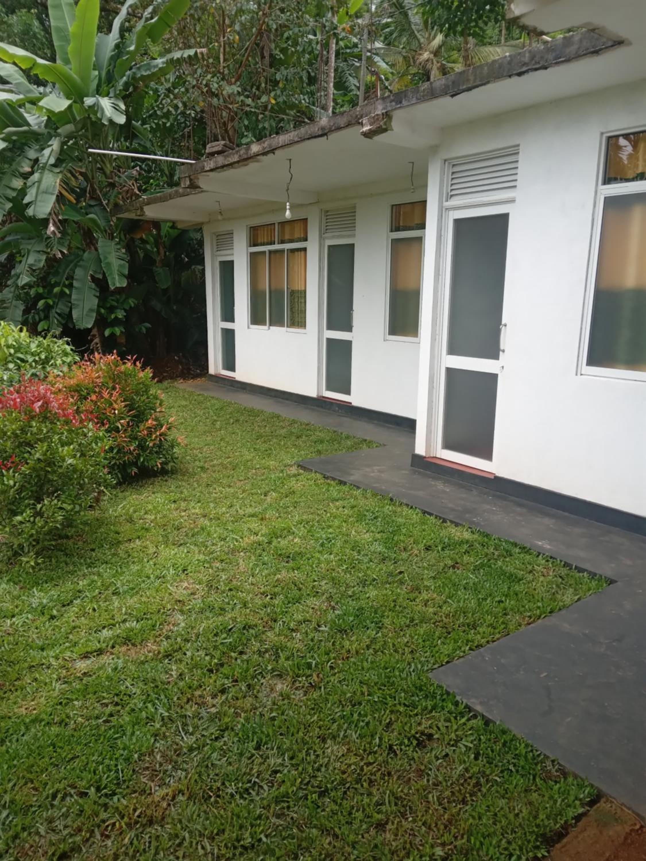 Rainforest Holiday Inn