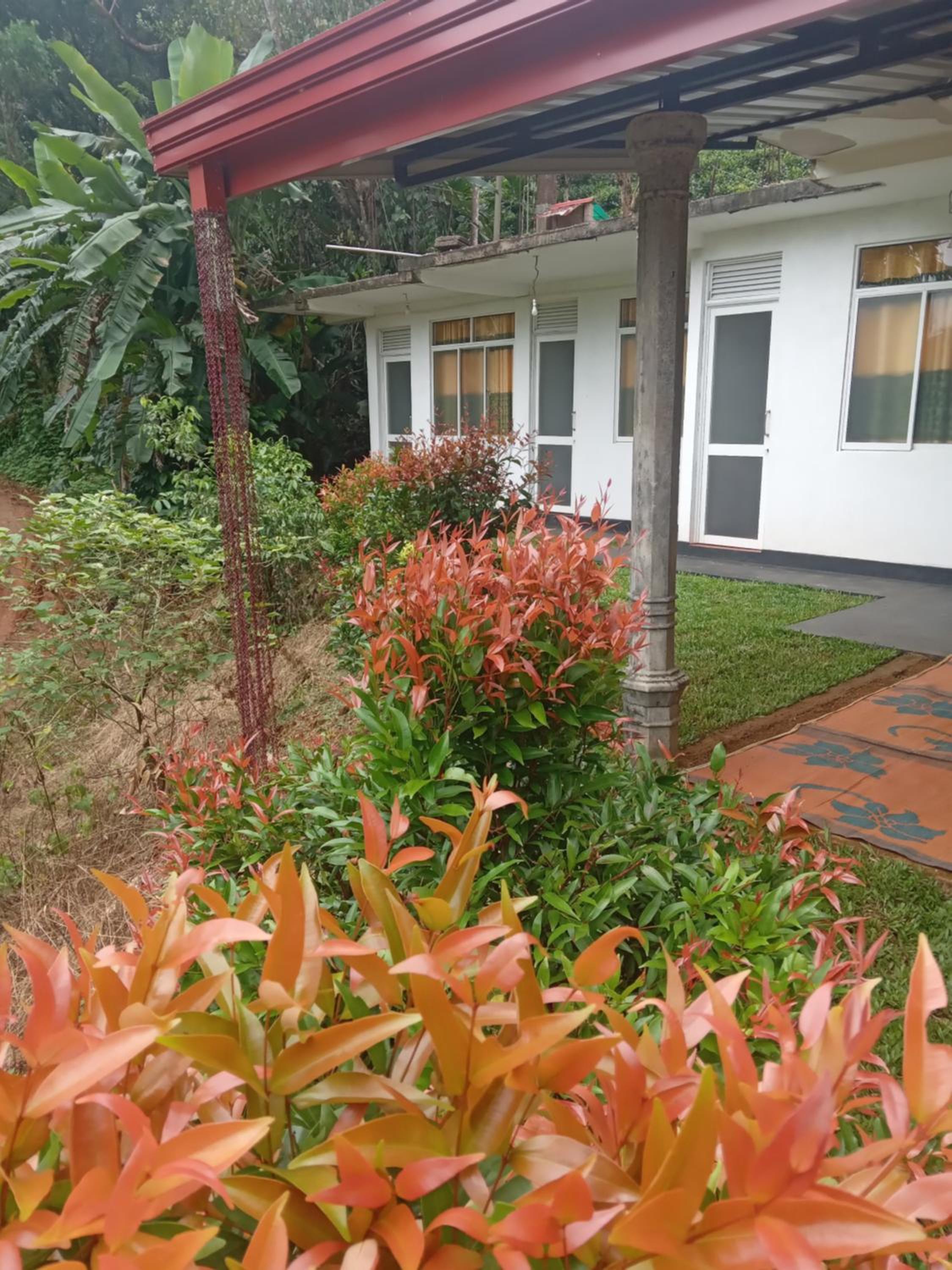 Rainforest Holiday Inn