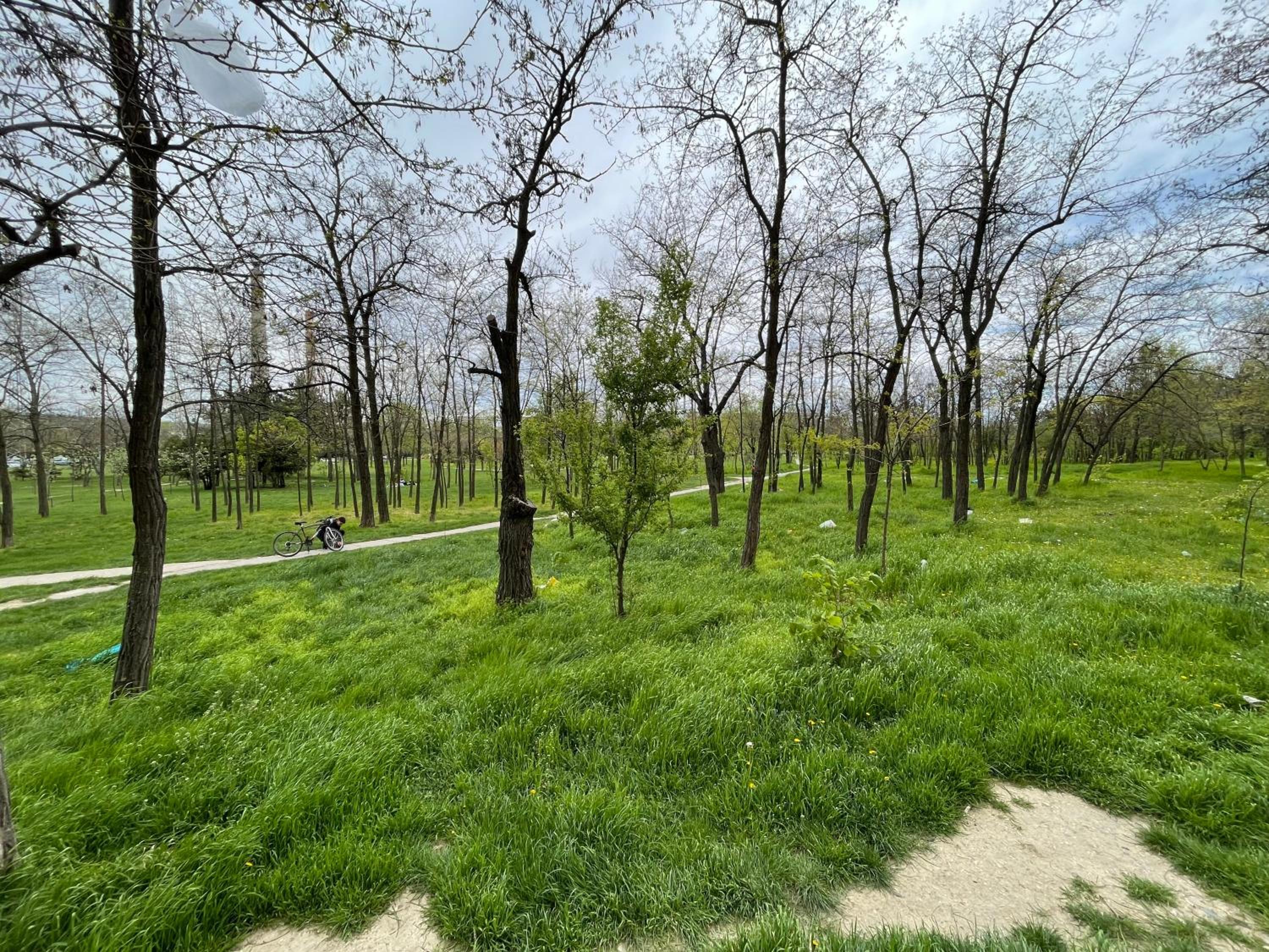 Photo 21