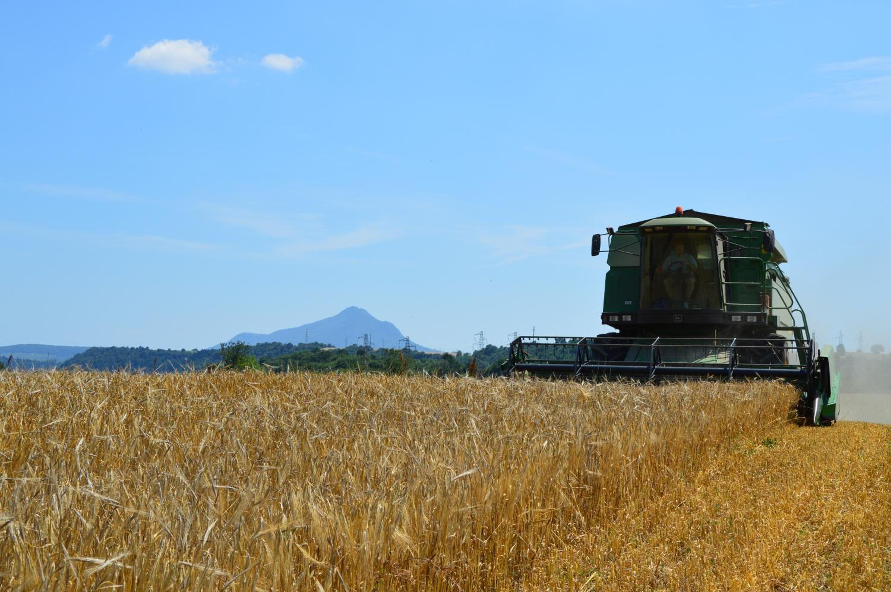 Fattoria Lucciano