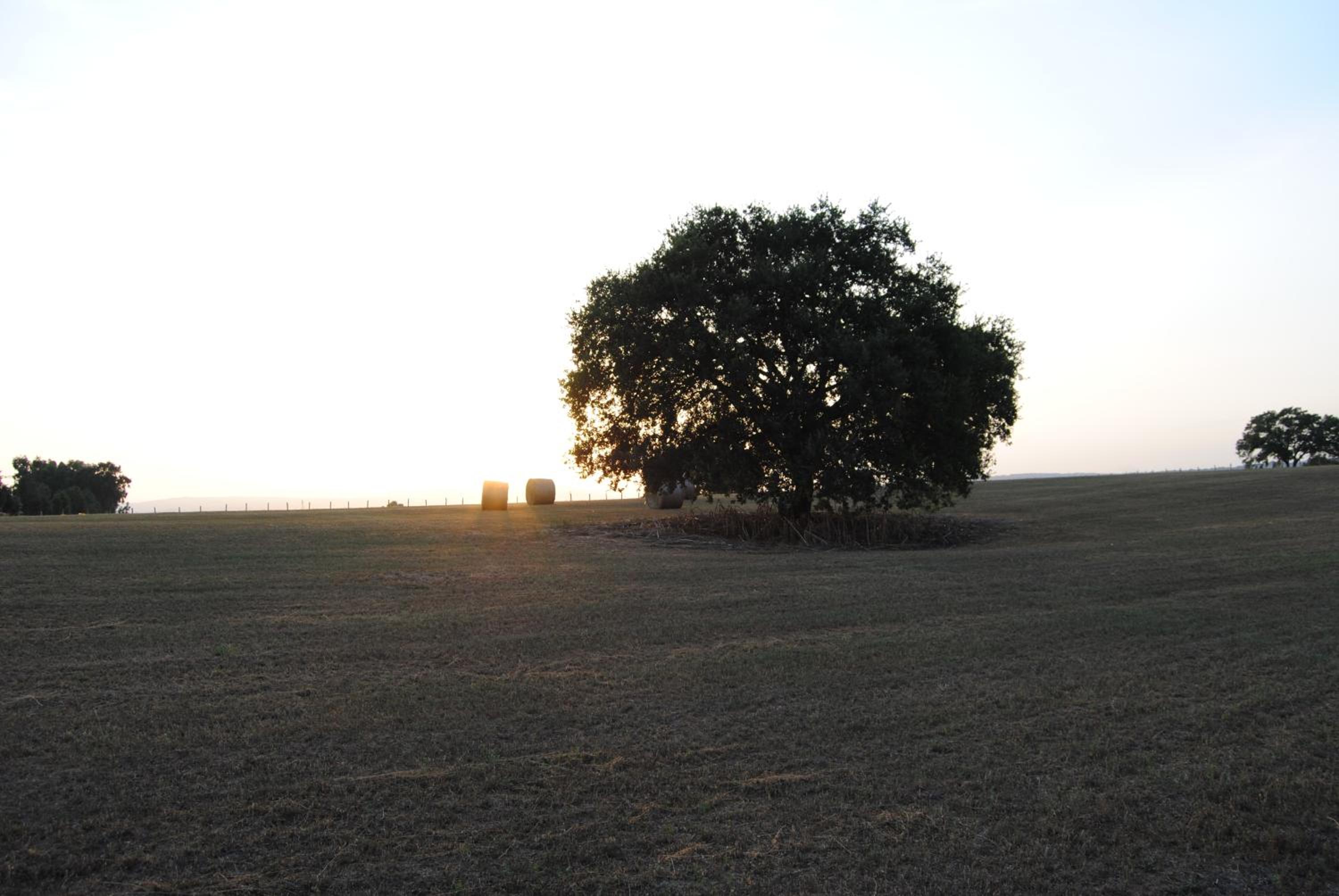 Fattoria Lucciano