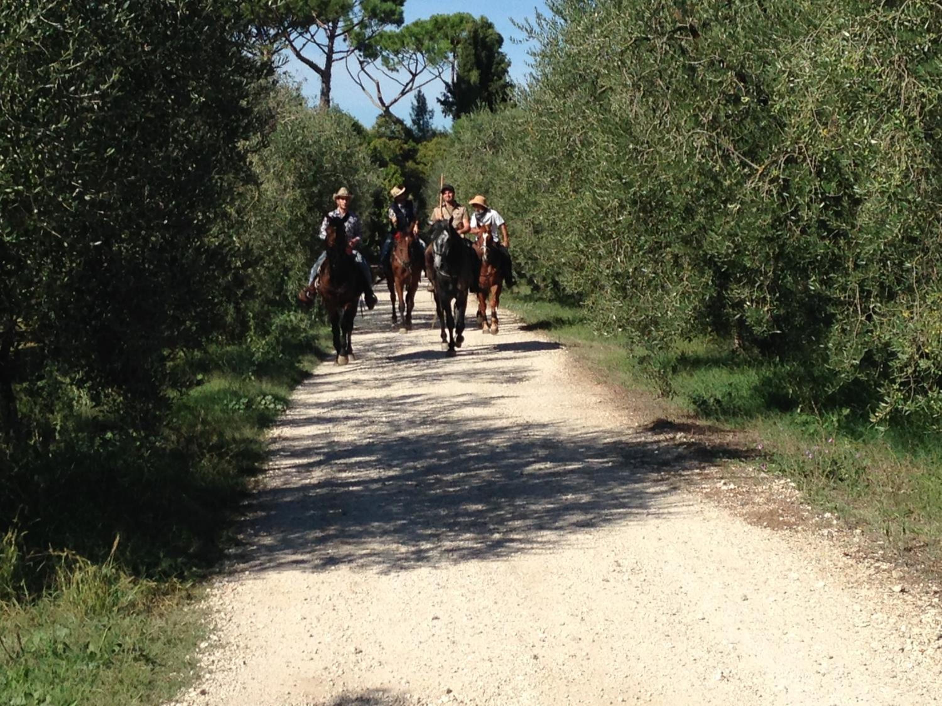 Fattoria Lucciano