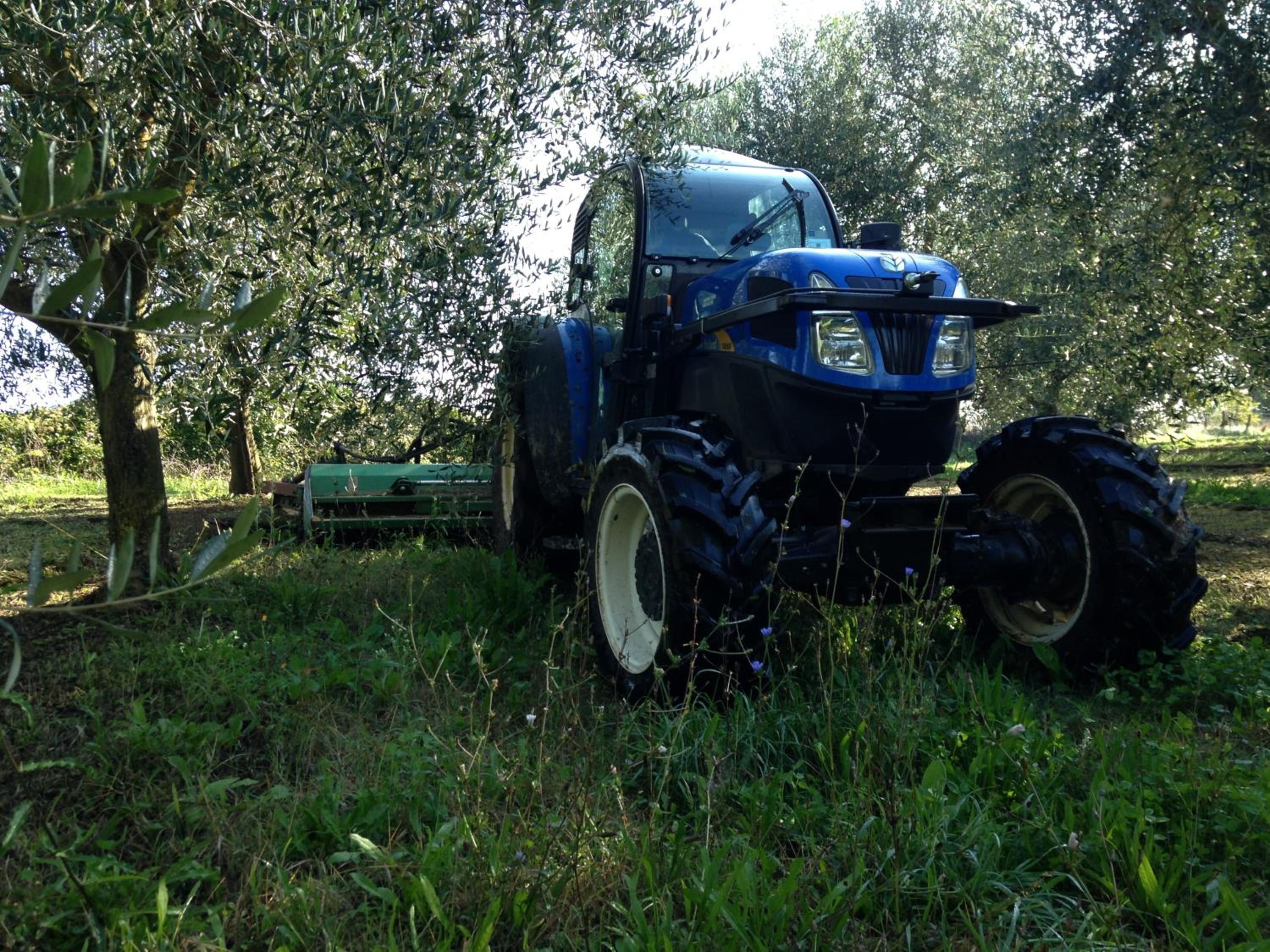 Fattoria Lucciano