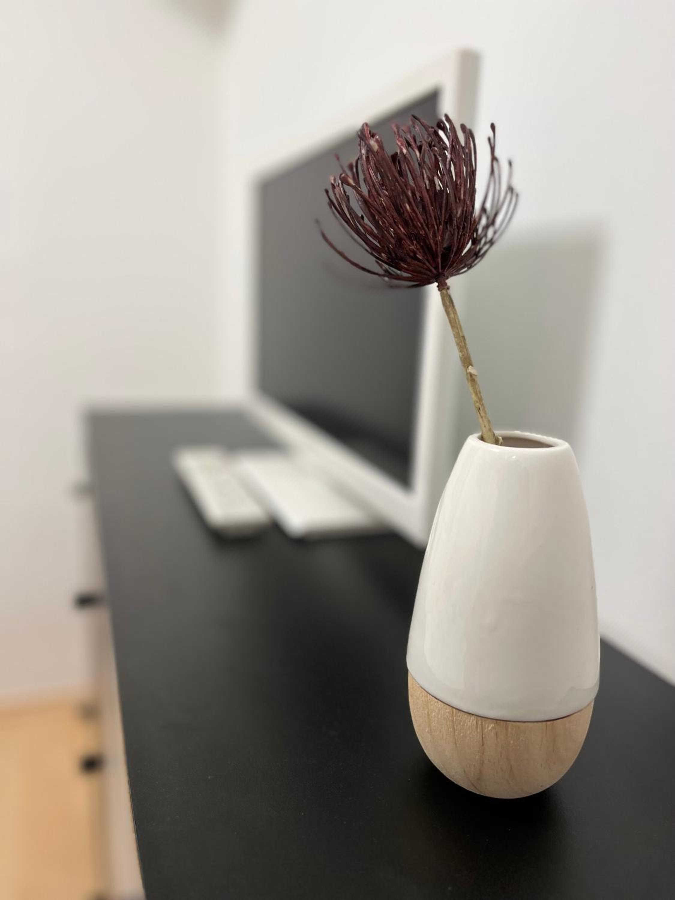 Bükk Apartman Bükkszentkereszt
