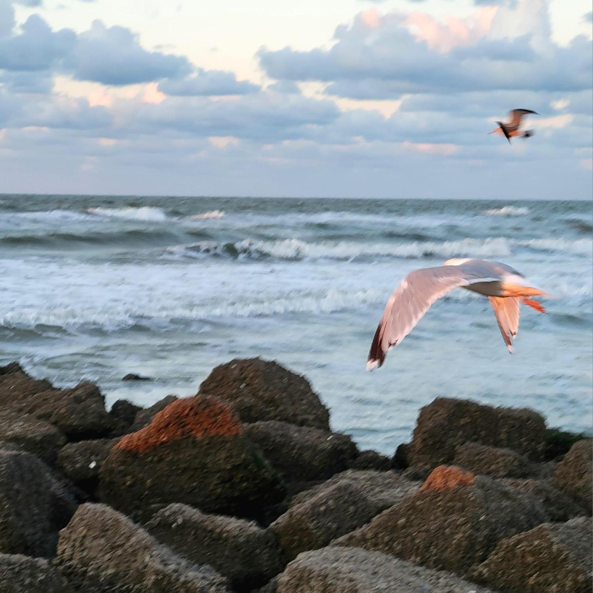 Caravan Aan Zee Arnani