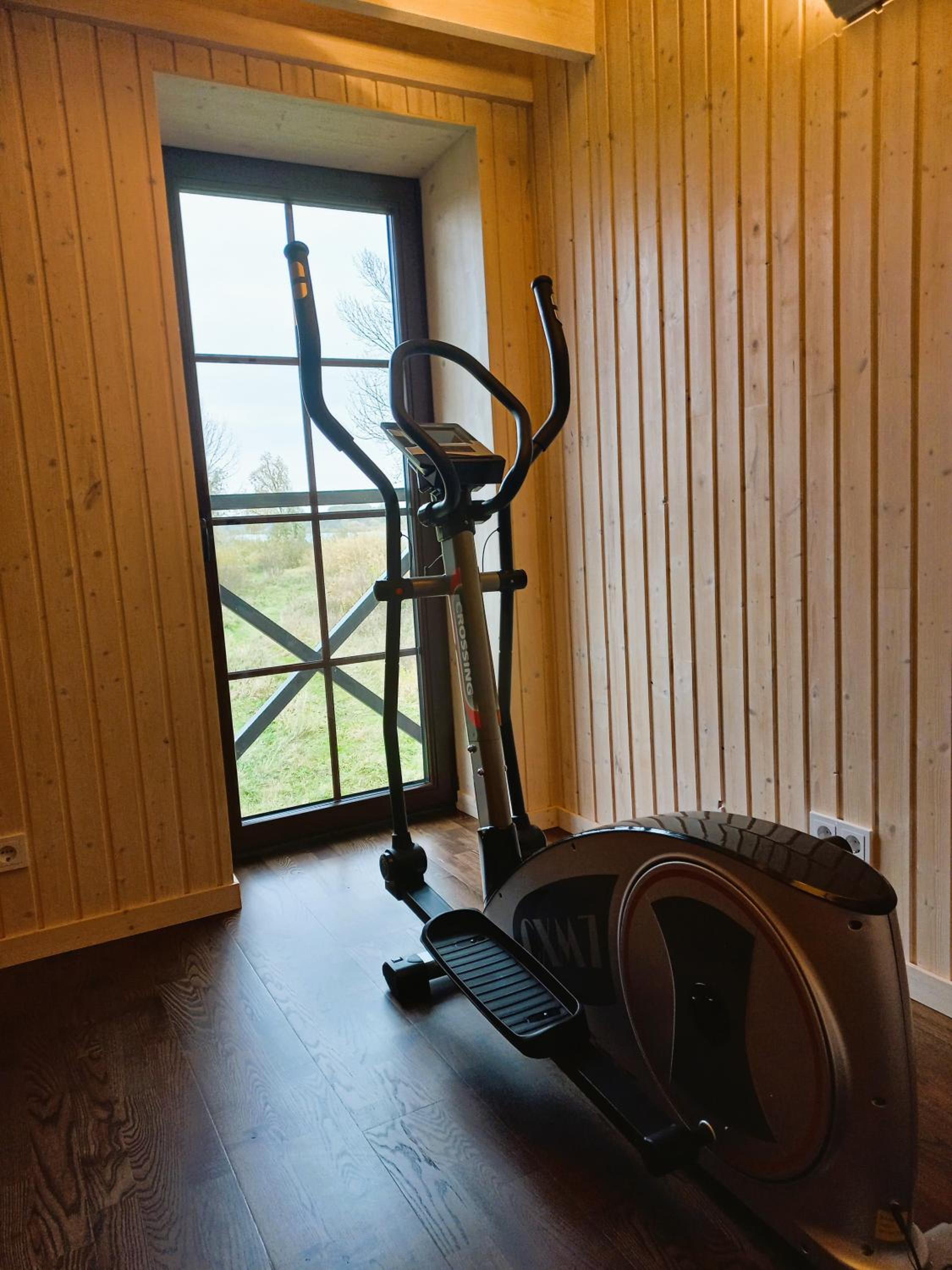 Namelis Gluosnė