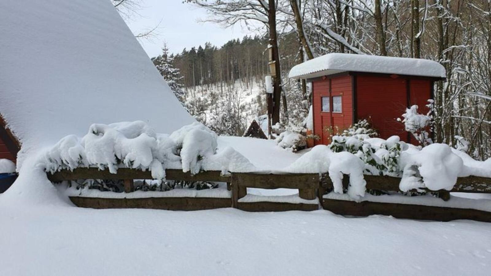 Ferienhaus am Wald