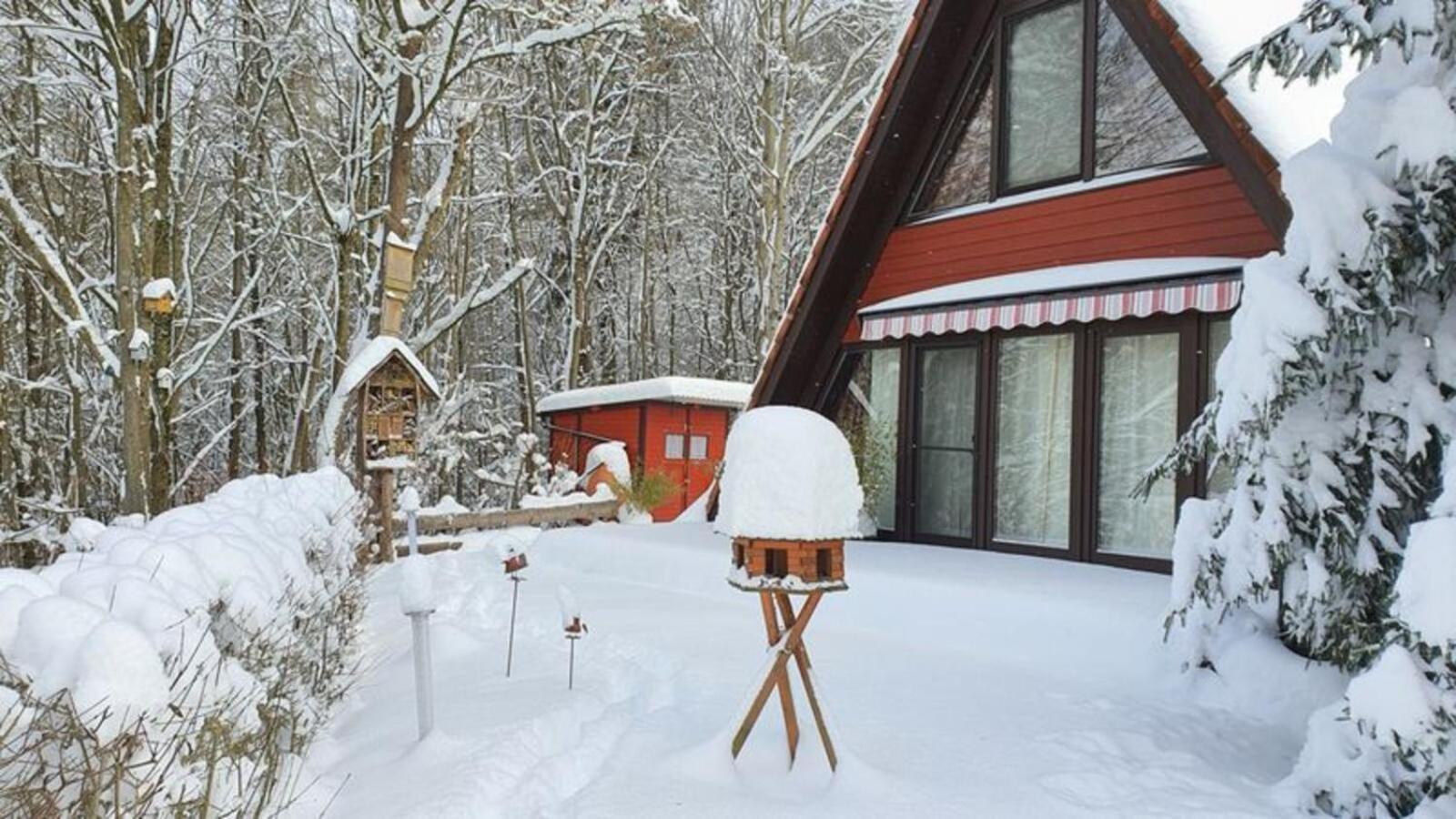 Ferienhaus am Wald