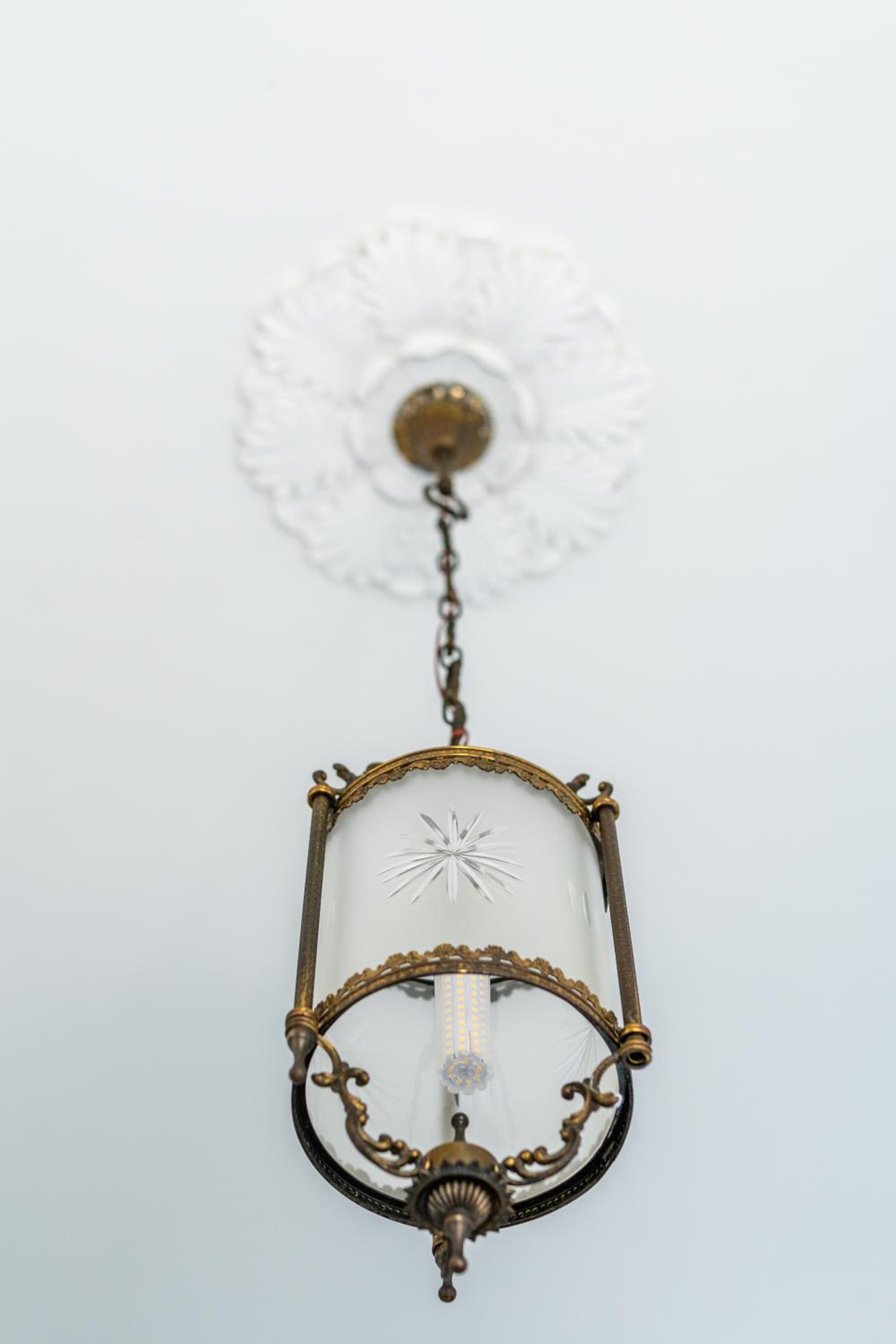 Helianthus