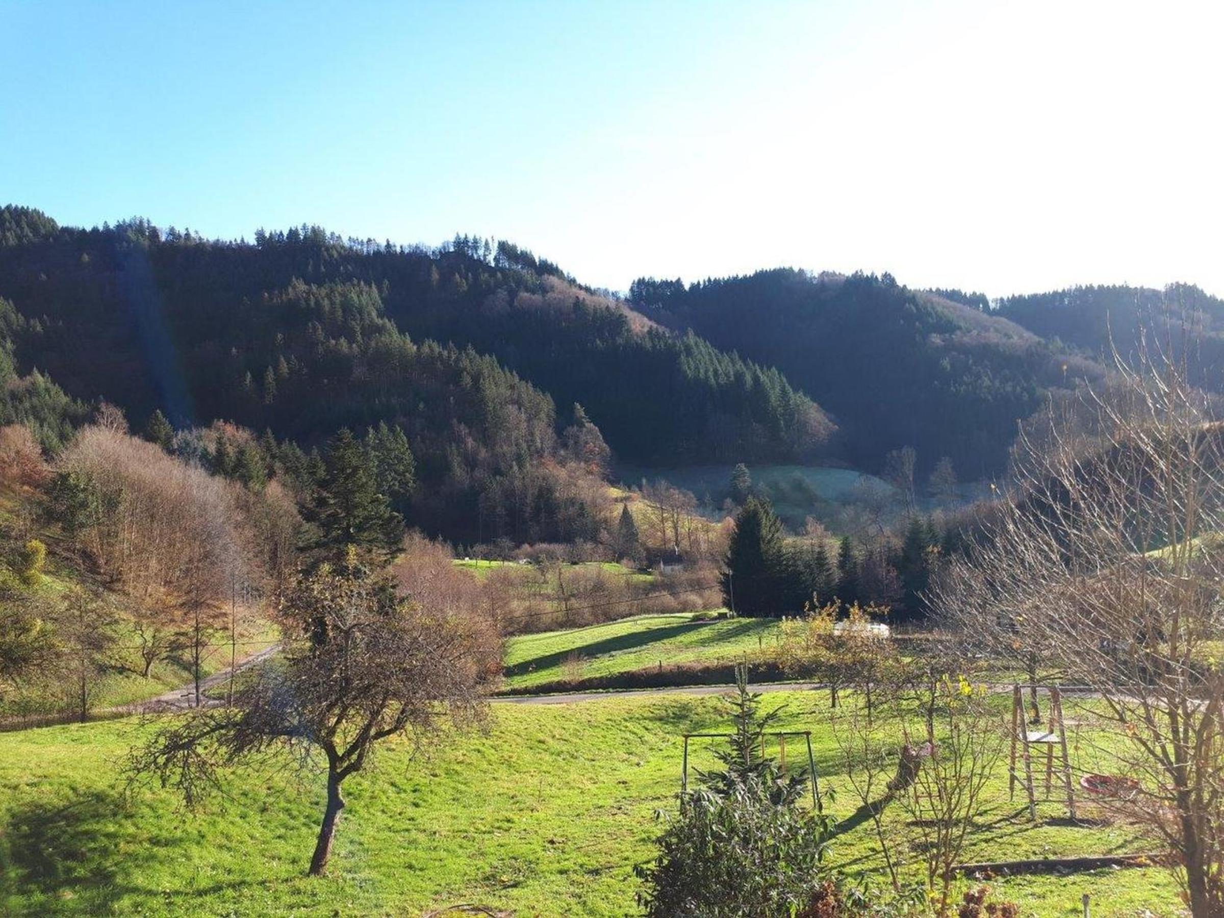 Heimatglück