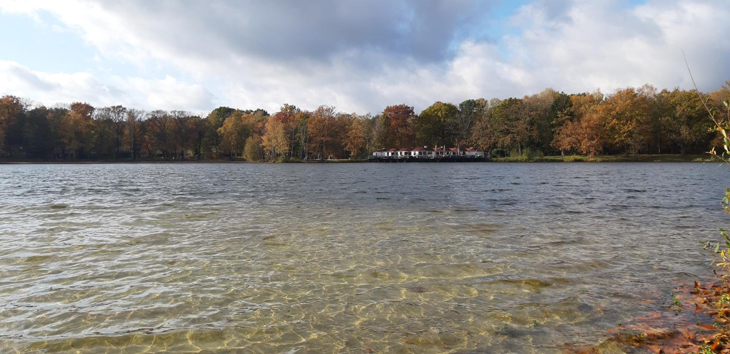 Zonnige vrijstaande bungalow in prachtige omgeving!