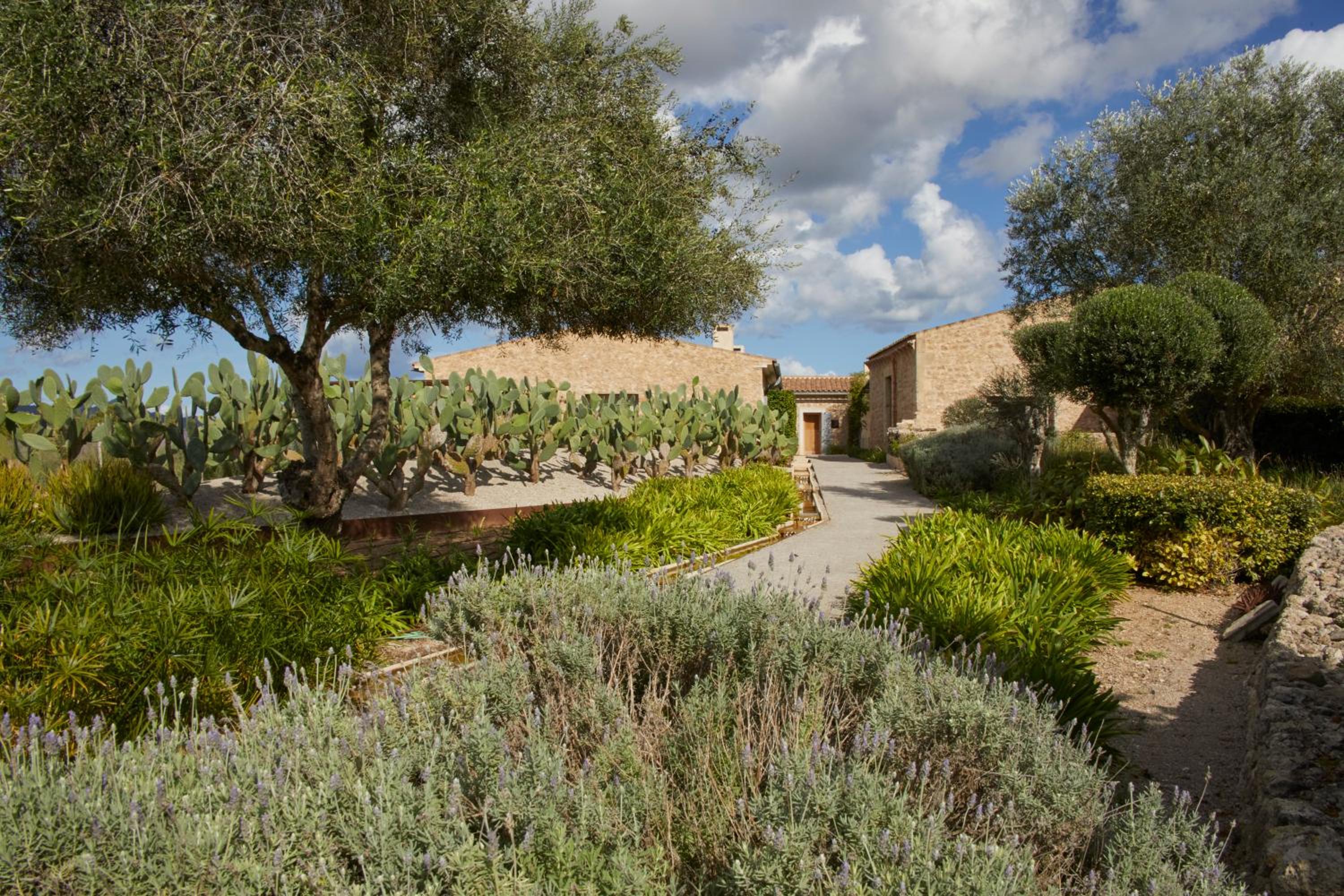 Finca Sestelrica
