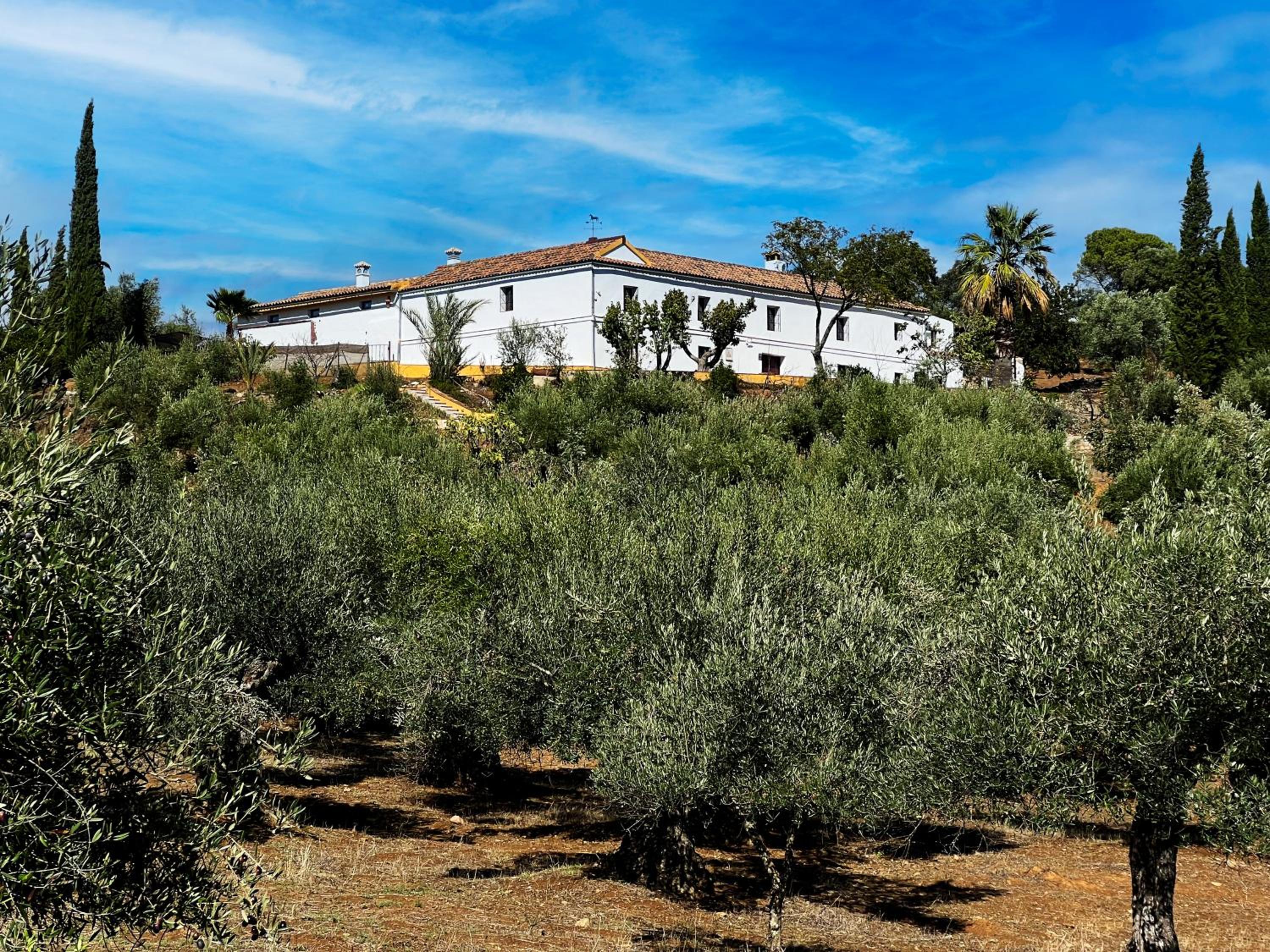 Isla Virgen
