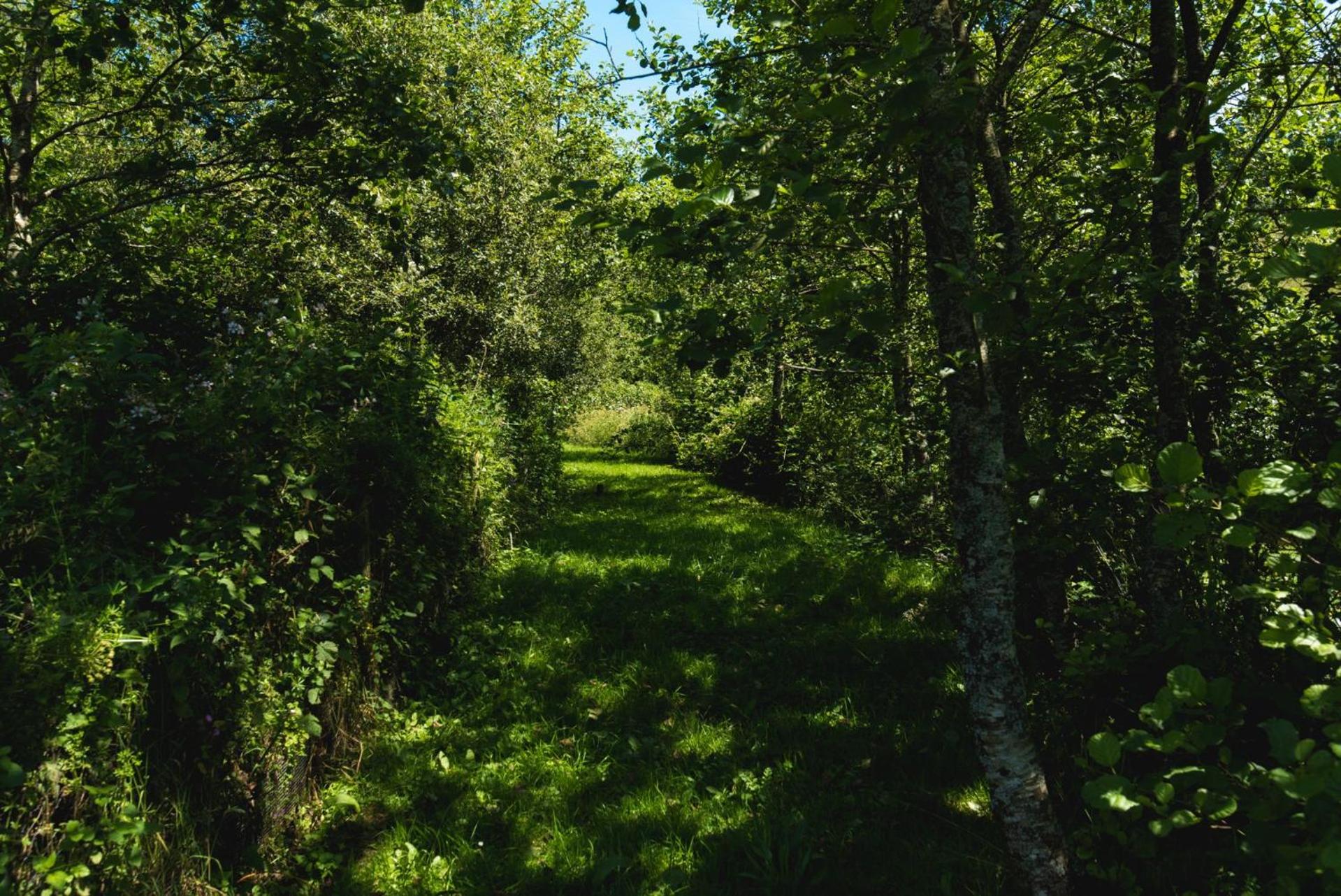 Photo 7