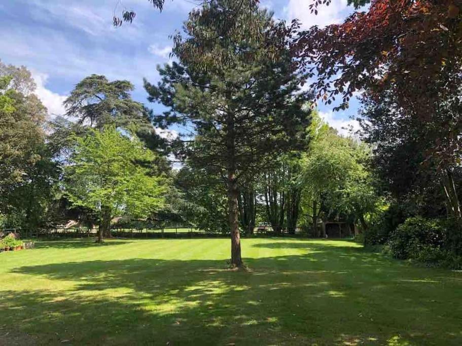 Escape to Country Manor Retreat Ash House Somerset view 3