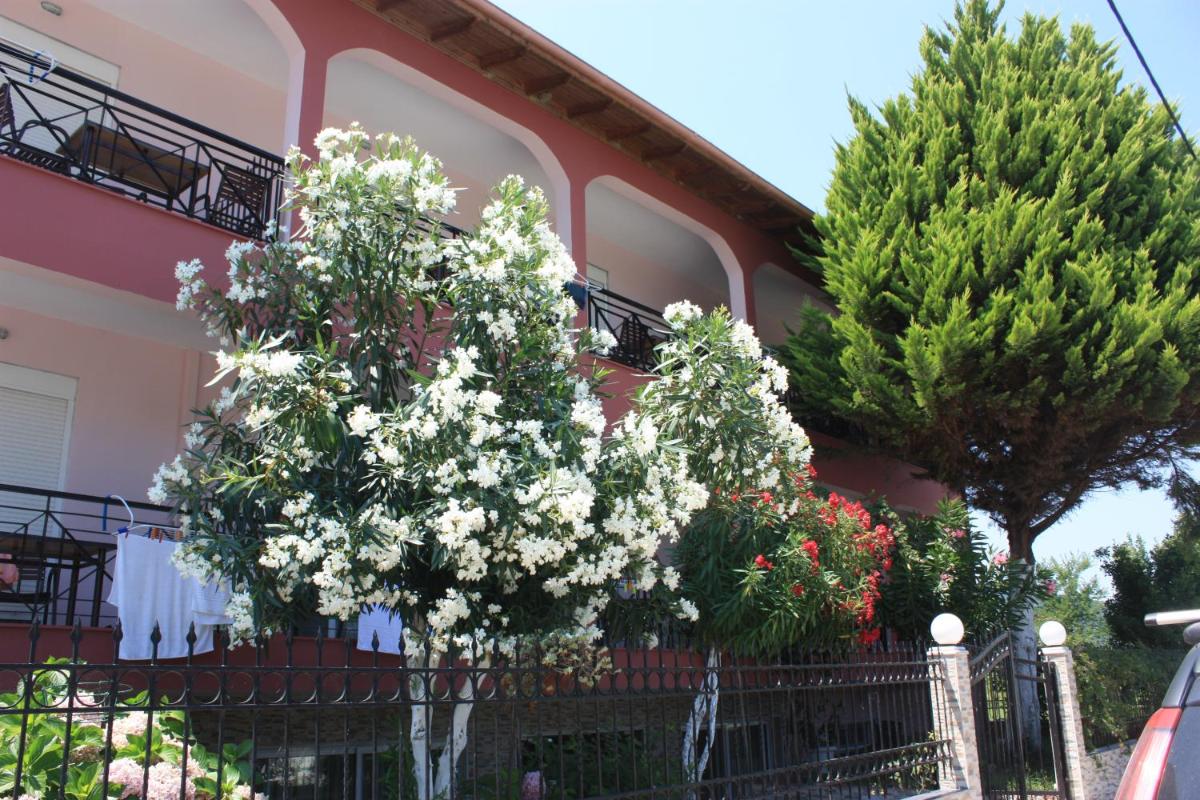 Photo 46