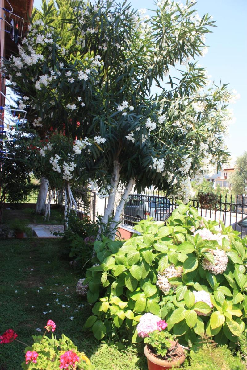 Photo 30
