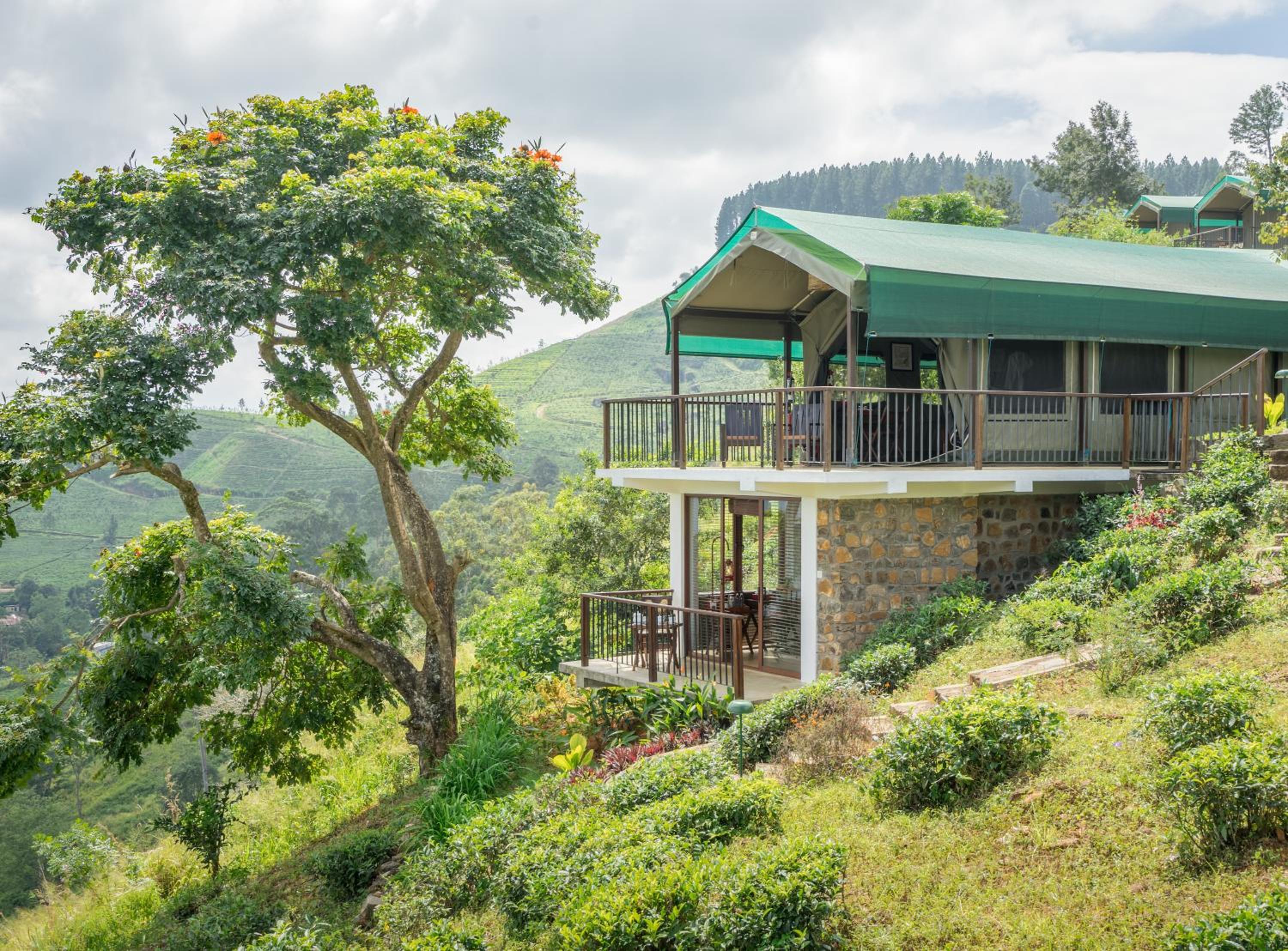 Madulkelle Tea and Eco Lodge view 4