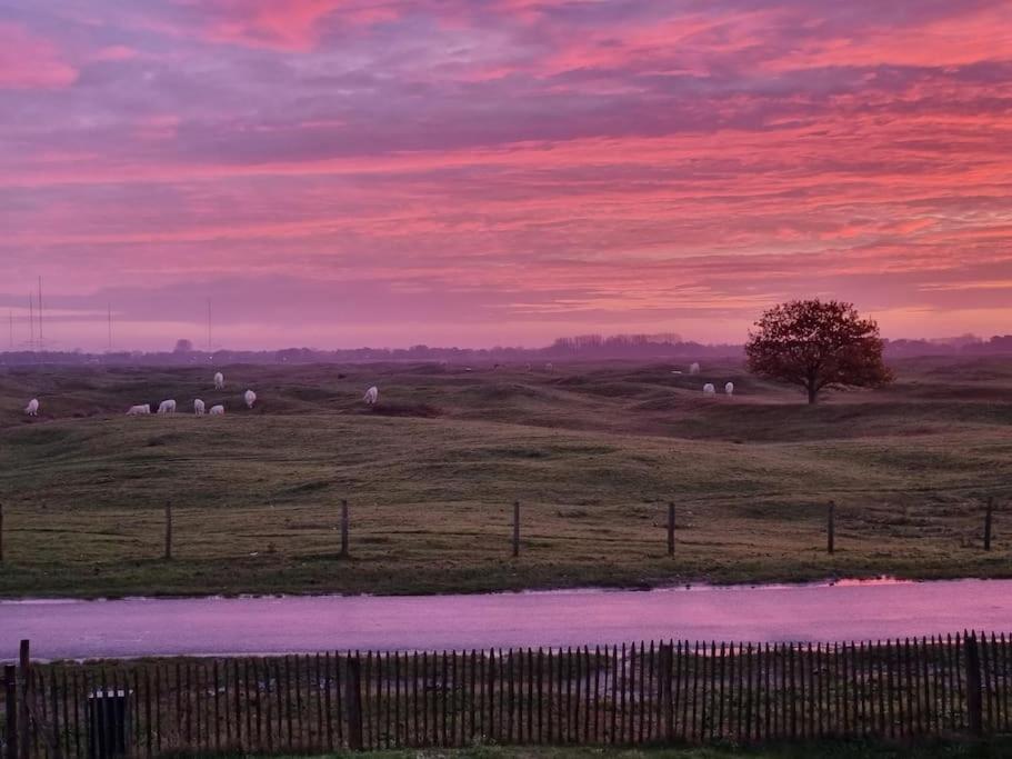 Coastal Cottages huisje Bries